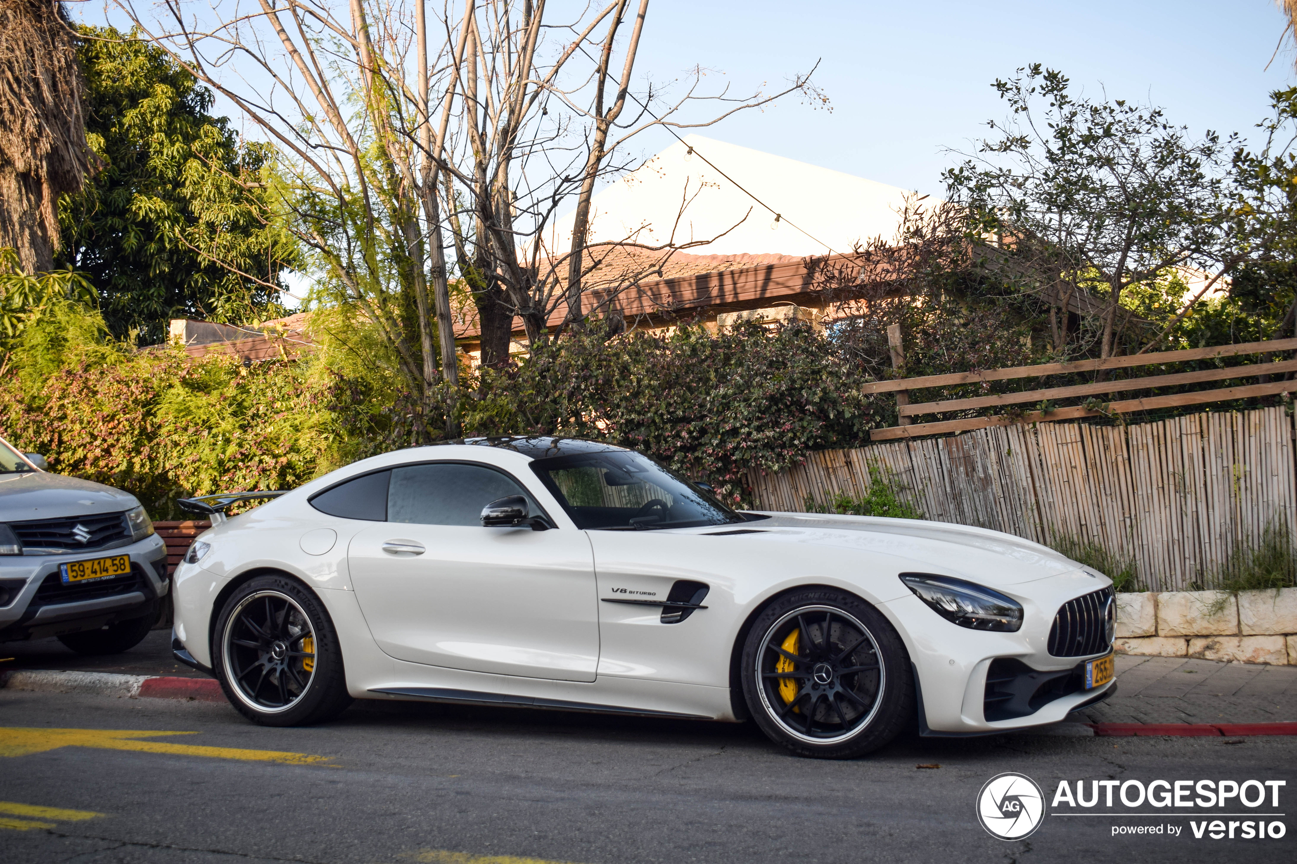 Mercedes-AMG GT R C190 2019