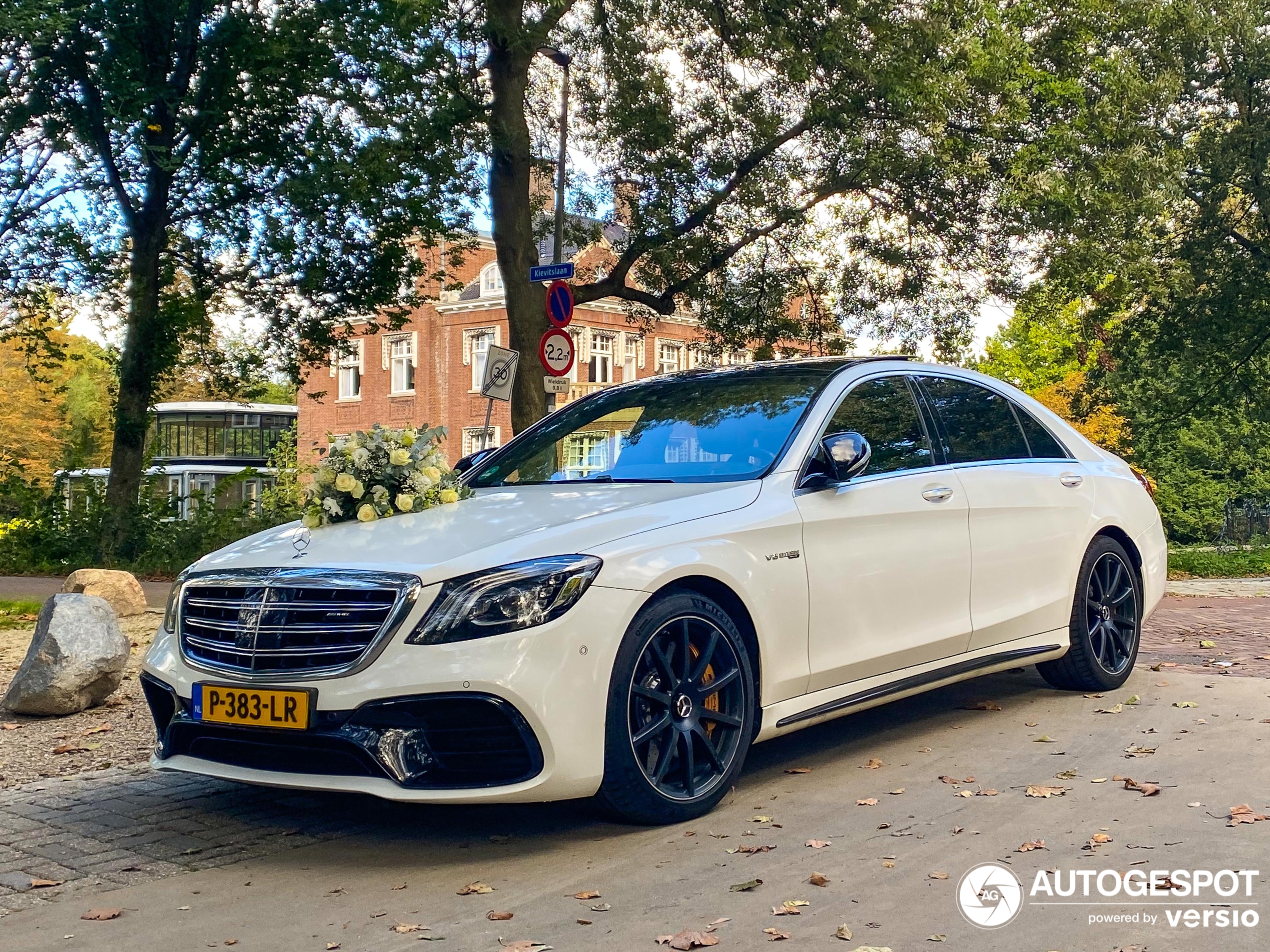 Mercedes-AMG S 63 V222 2017