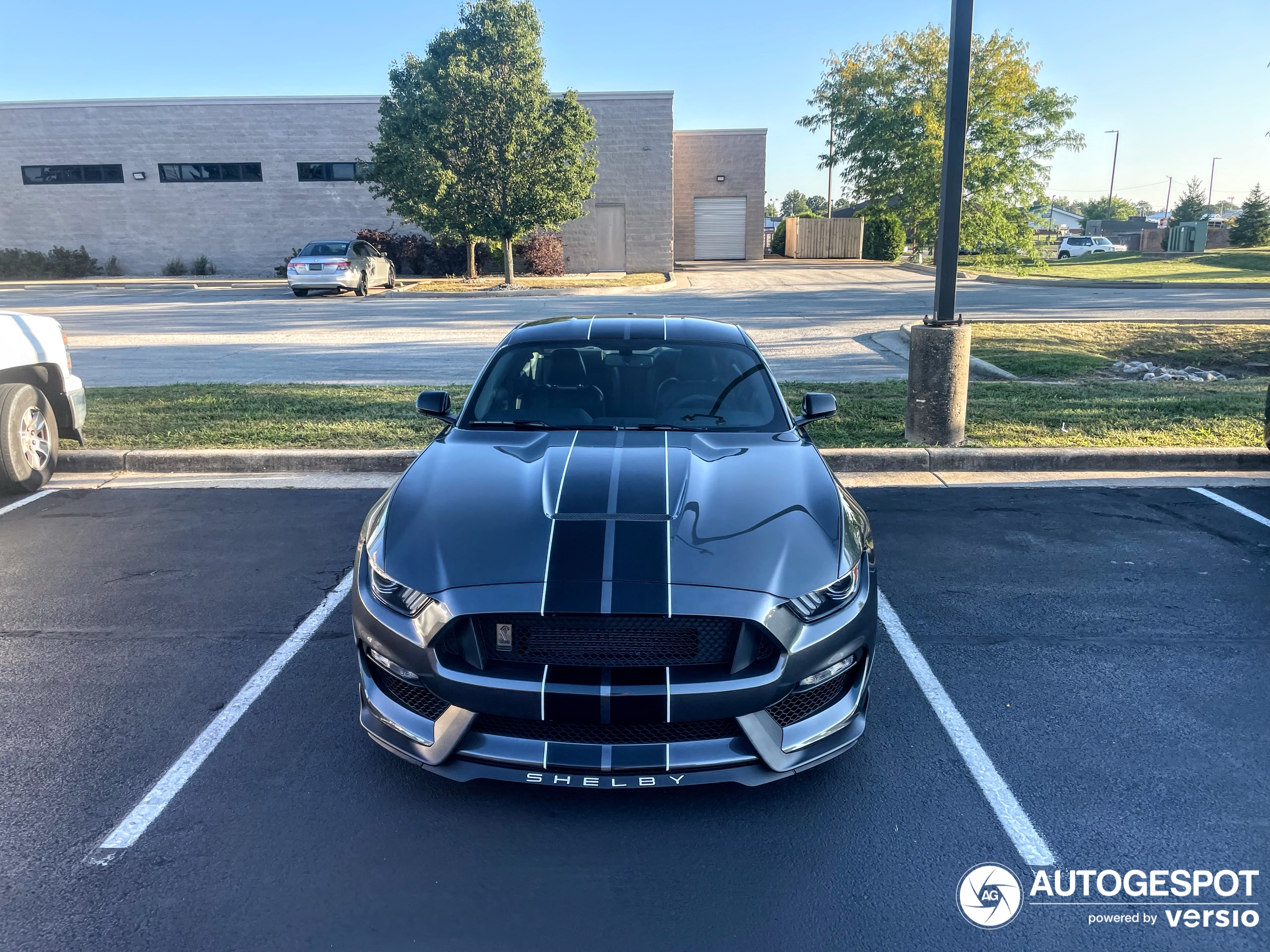 Ford Mustang Shelby GT350 2015