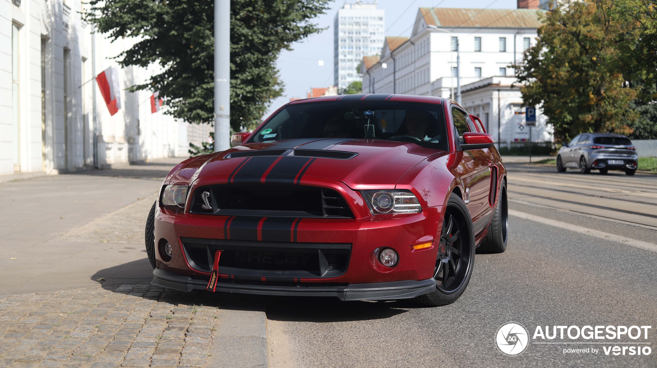 Ford Mustang Shelby GT500 Super Snake 2013