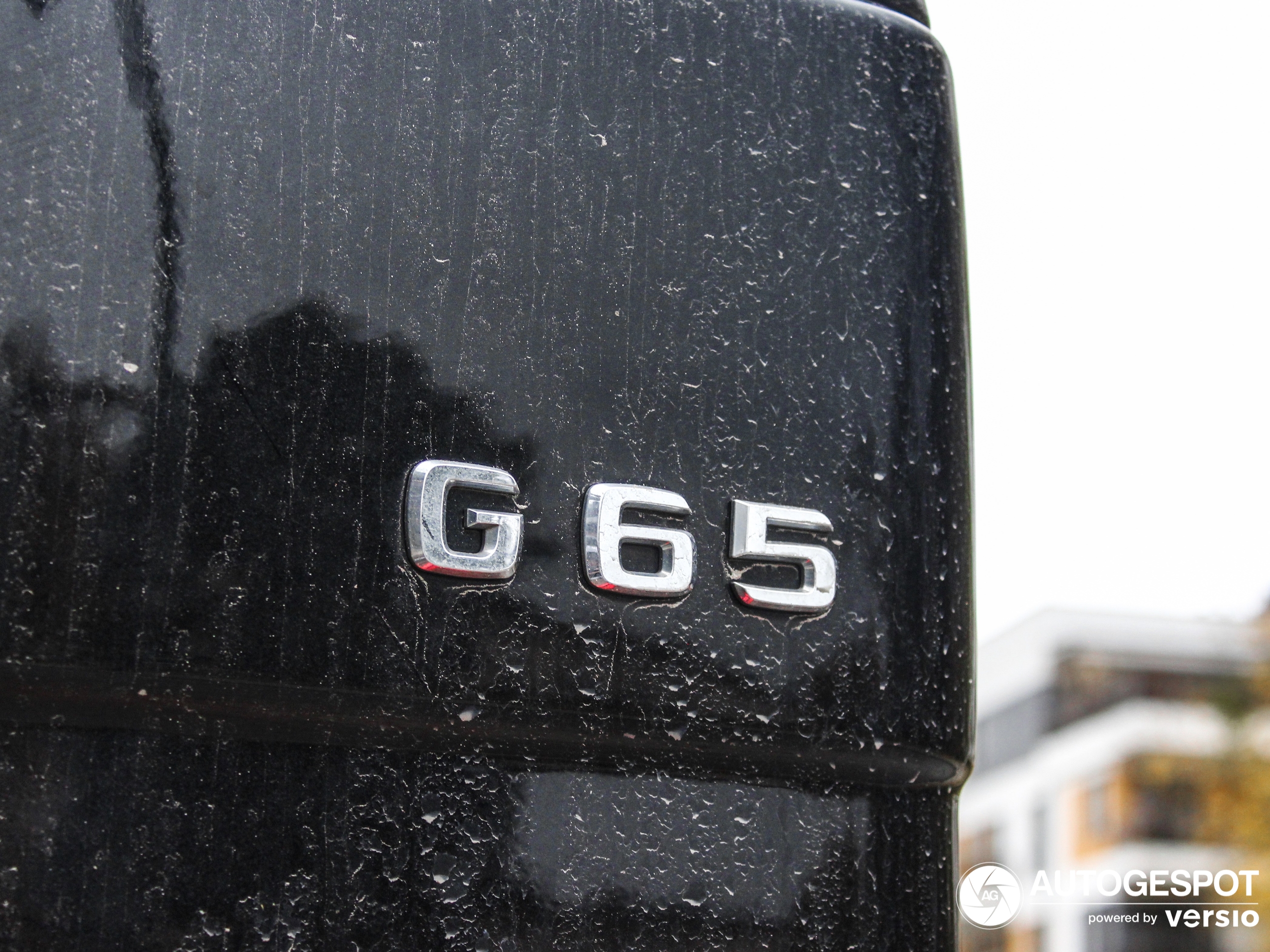 Mercedes-AMG G 65 2016 Final Edition