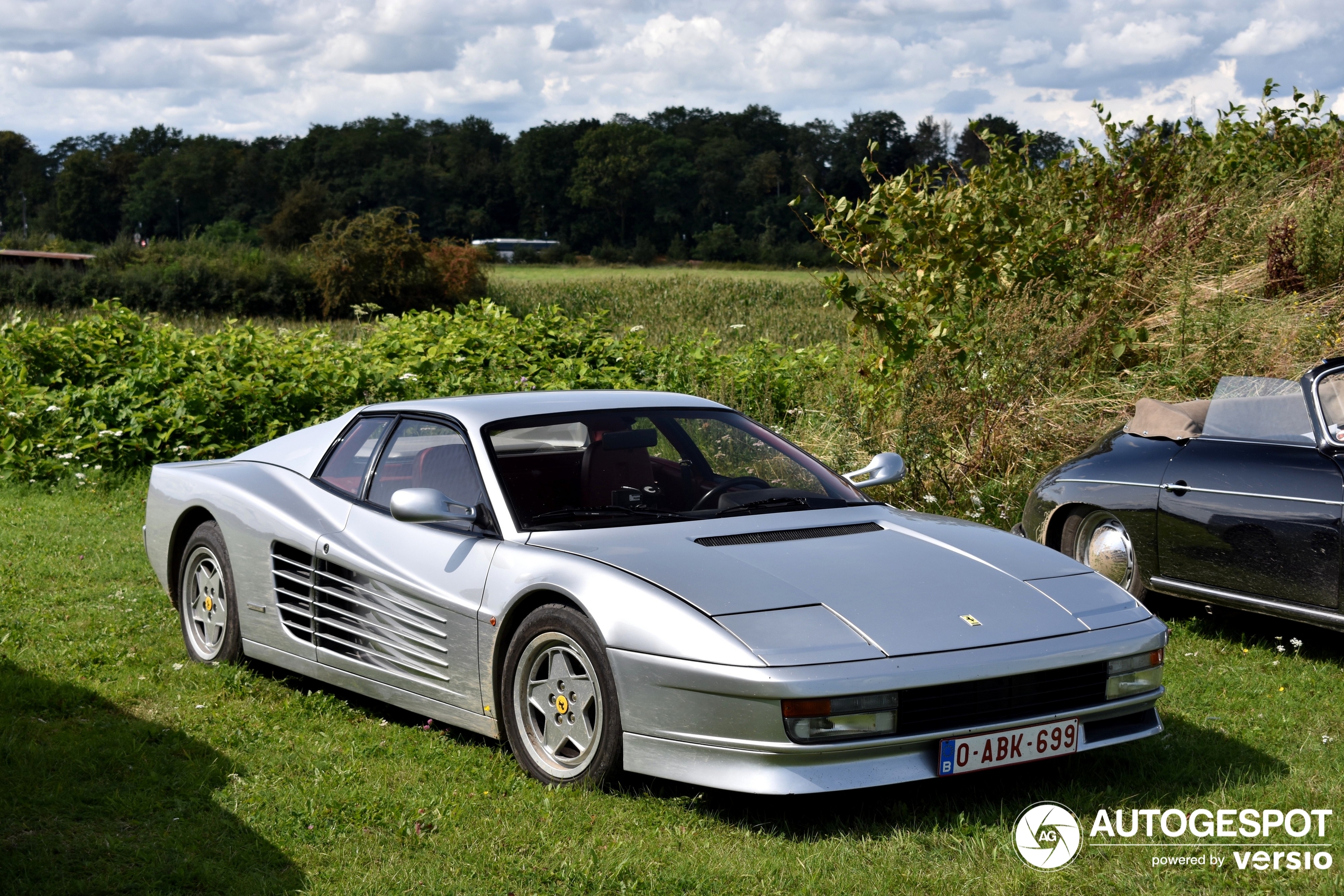 Did the Testarossa have a V-engine or a flat engine?