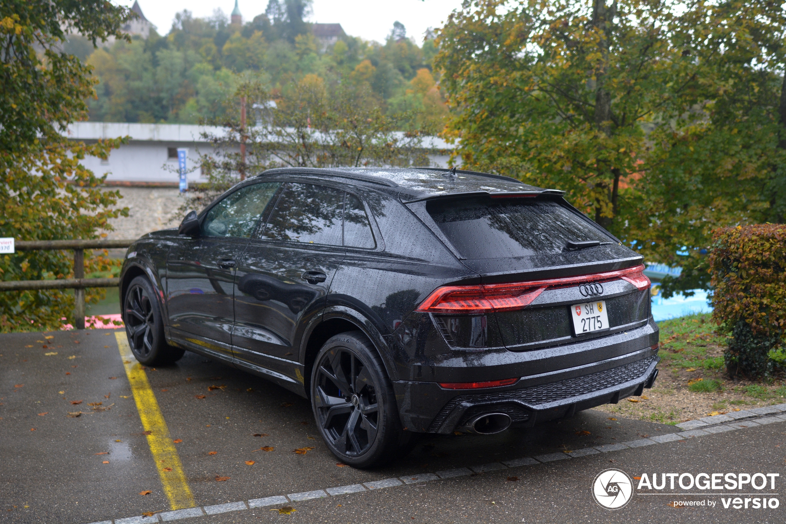 Audi RS Q8