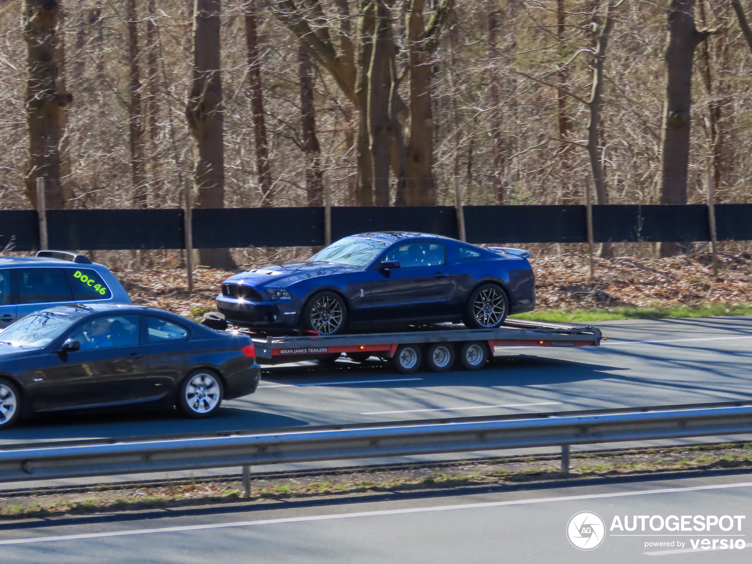 Shelby Mustang GT500 geketend op aanhanger