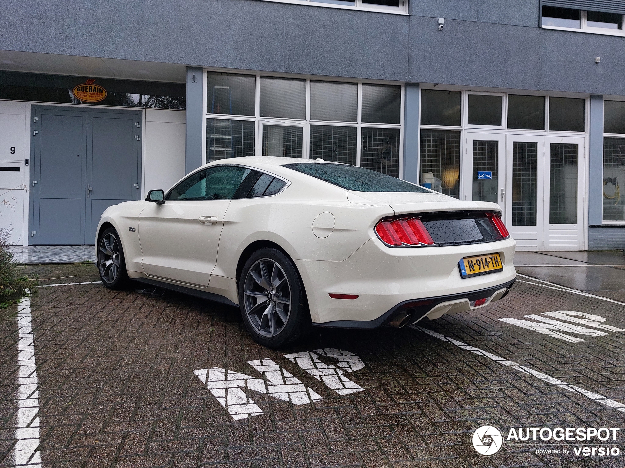 Ford Mustang GT 50th Anniversary Edition