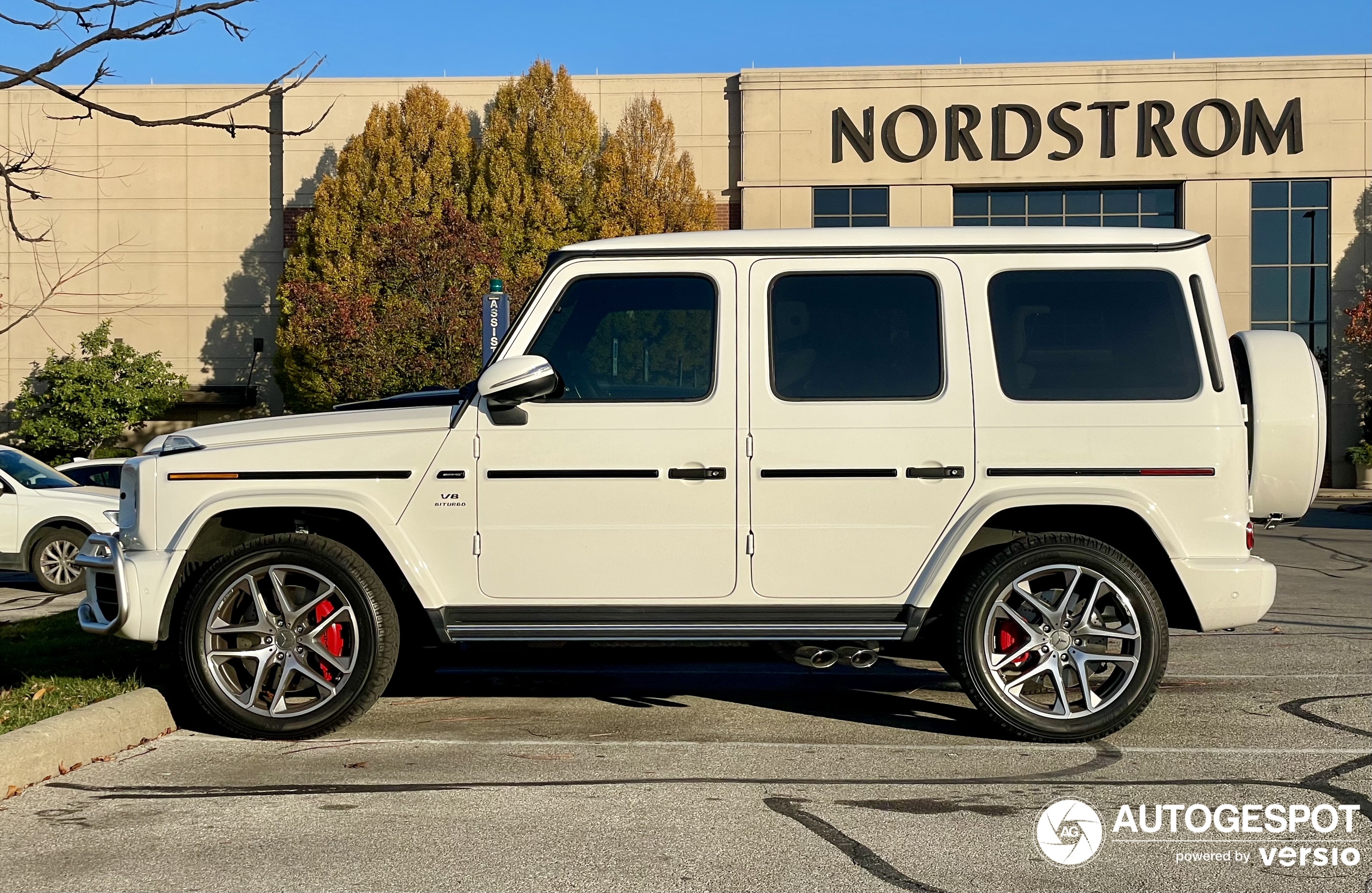 Mercedes-AMG G 63 W463 2018