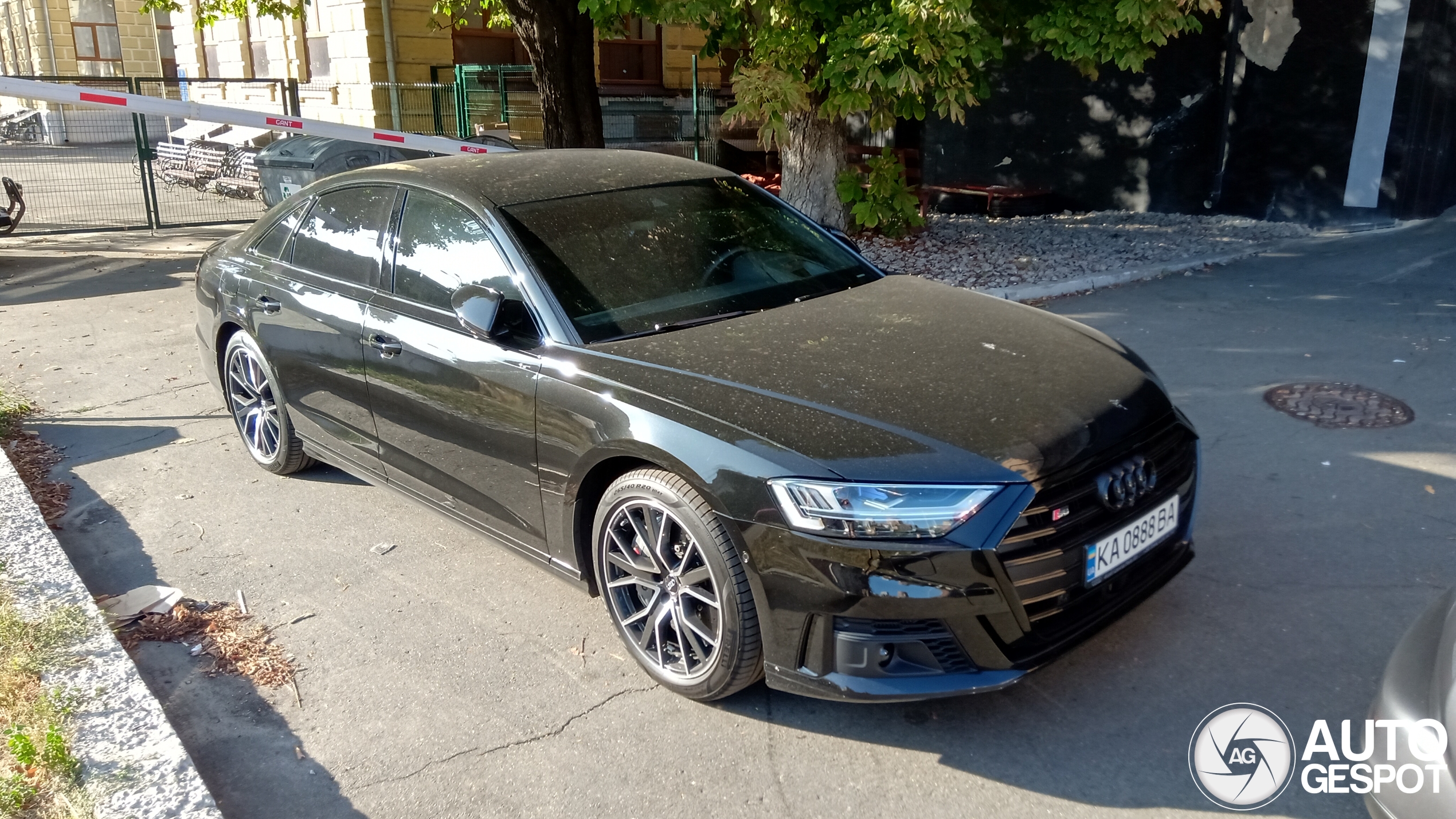 Audi S8 D5