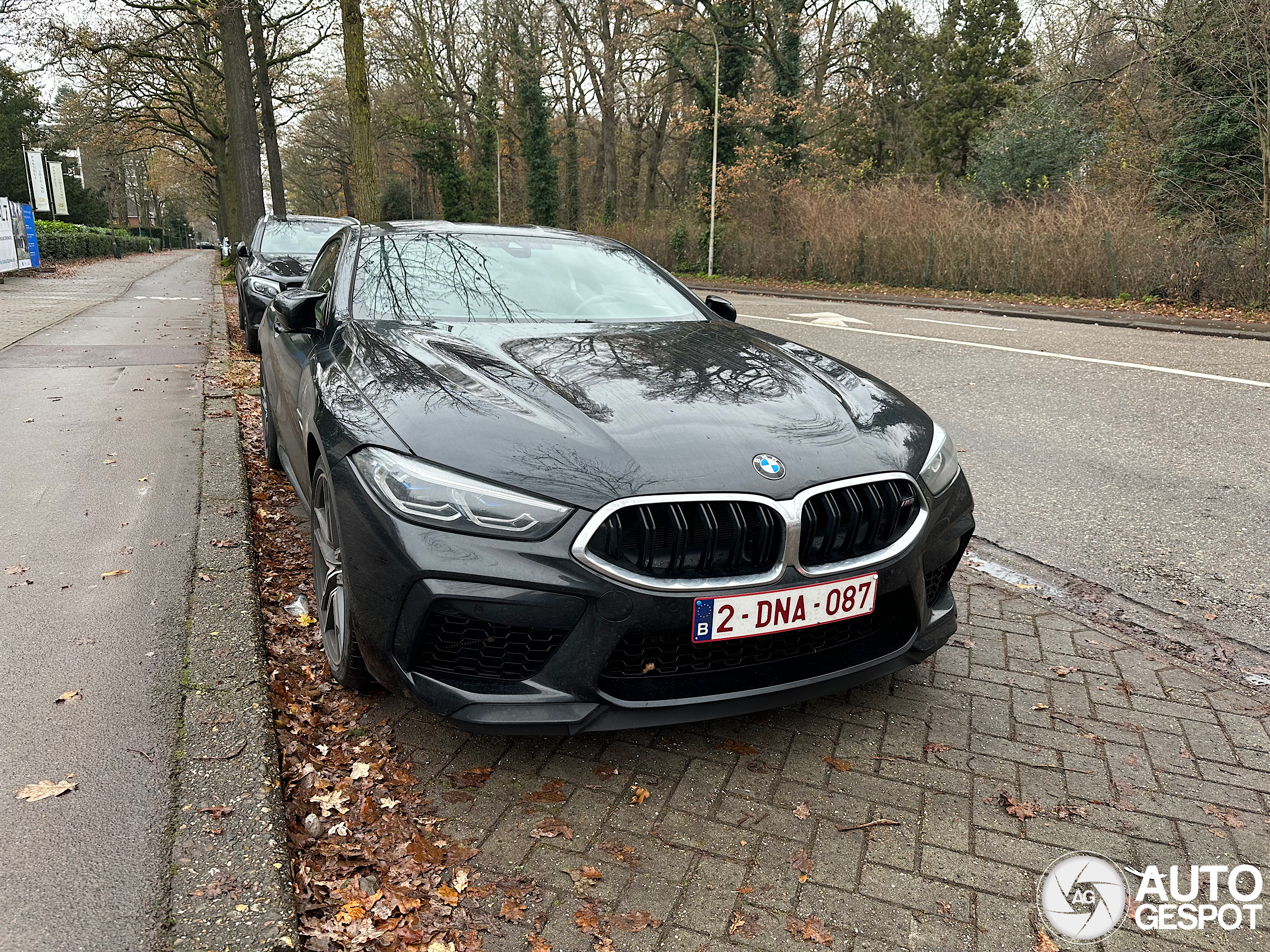 BMW M8 F92 Coupé