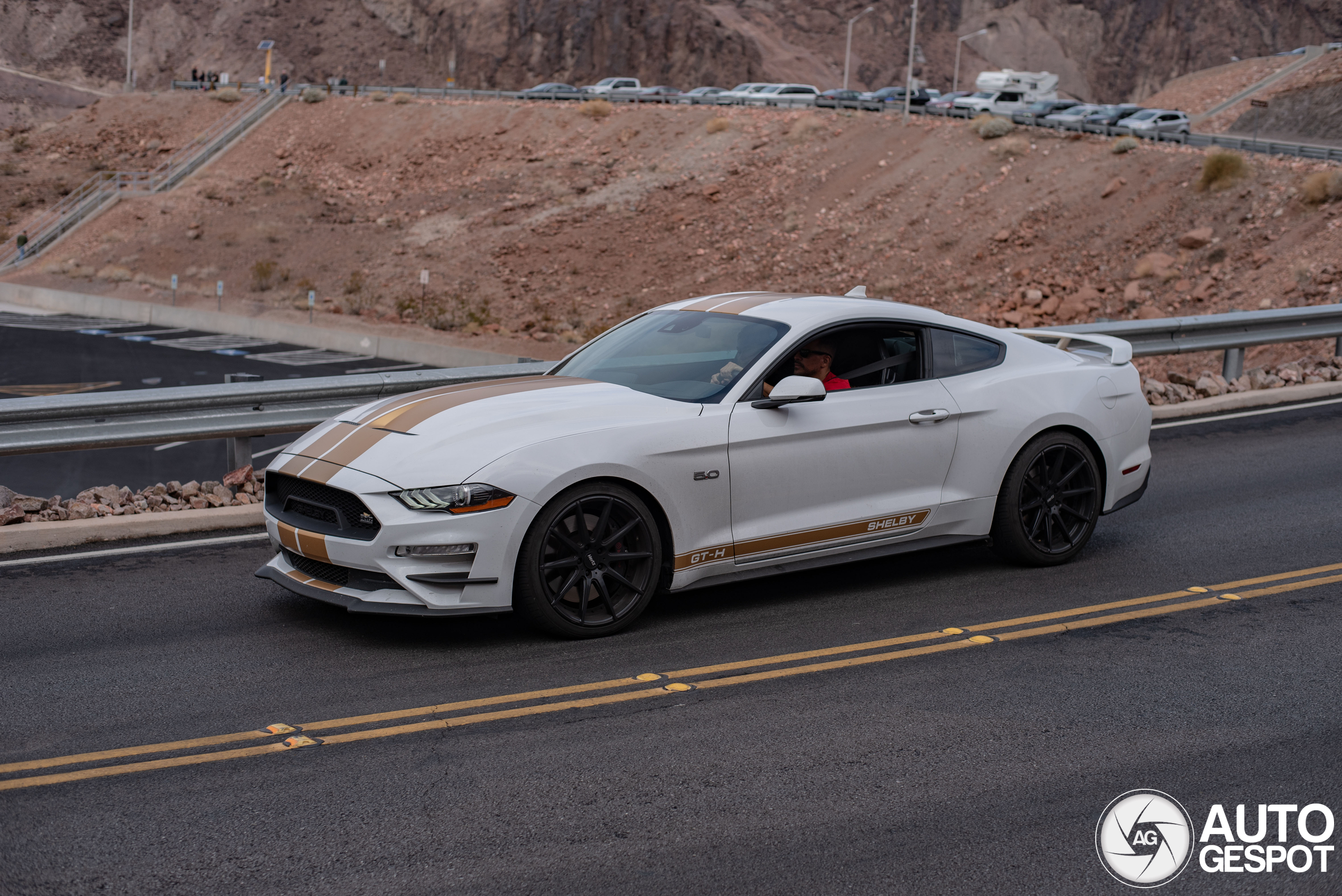 Ford Mustang Shelby GT-H 2018