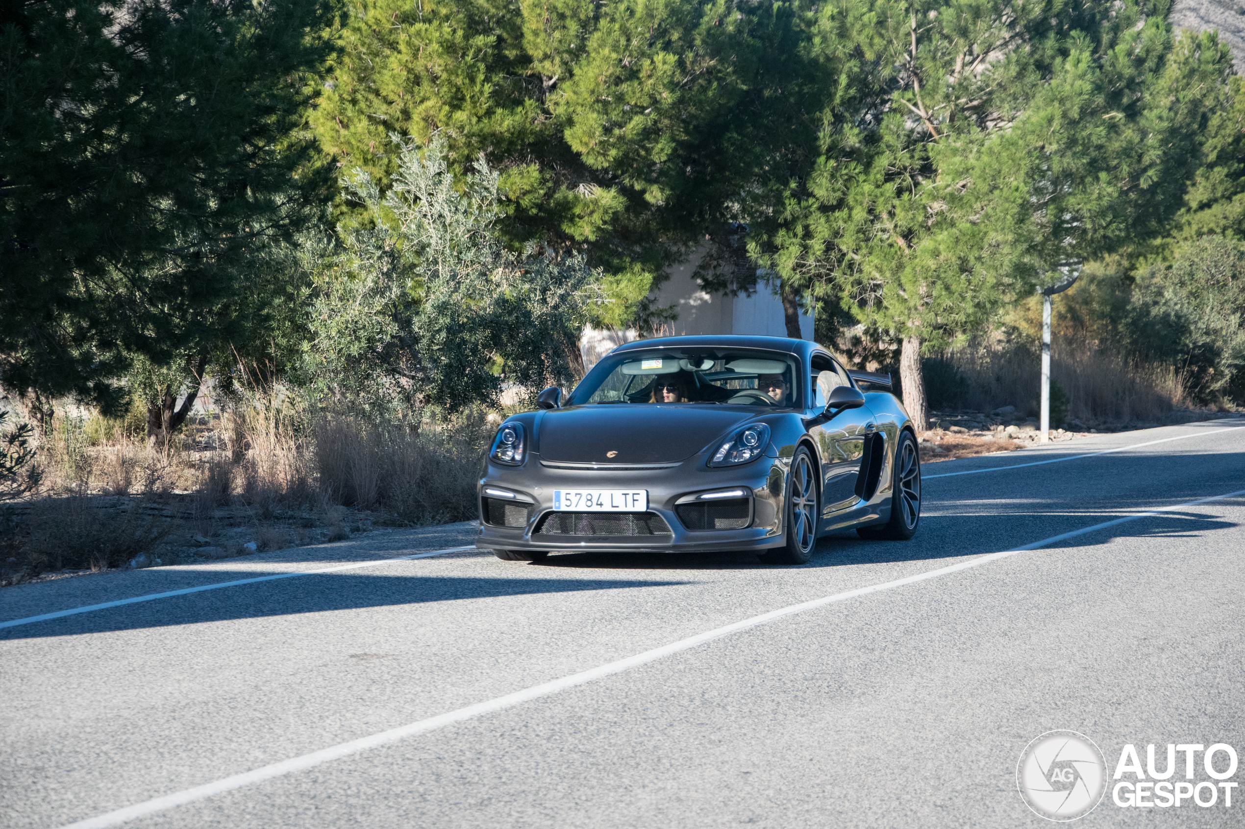 Porsche 981 Cayman GT4