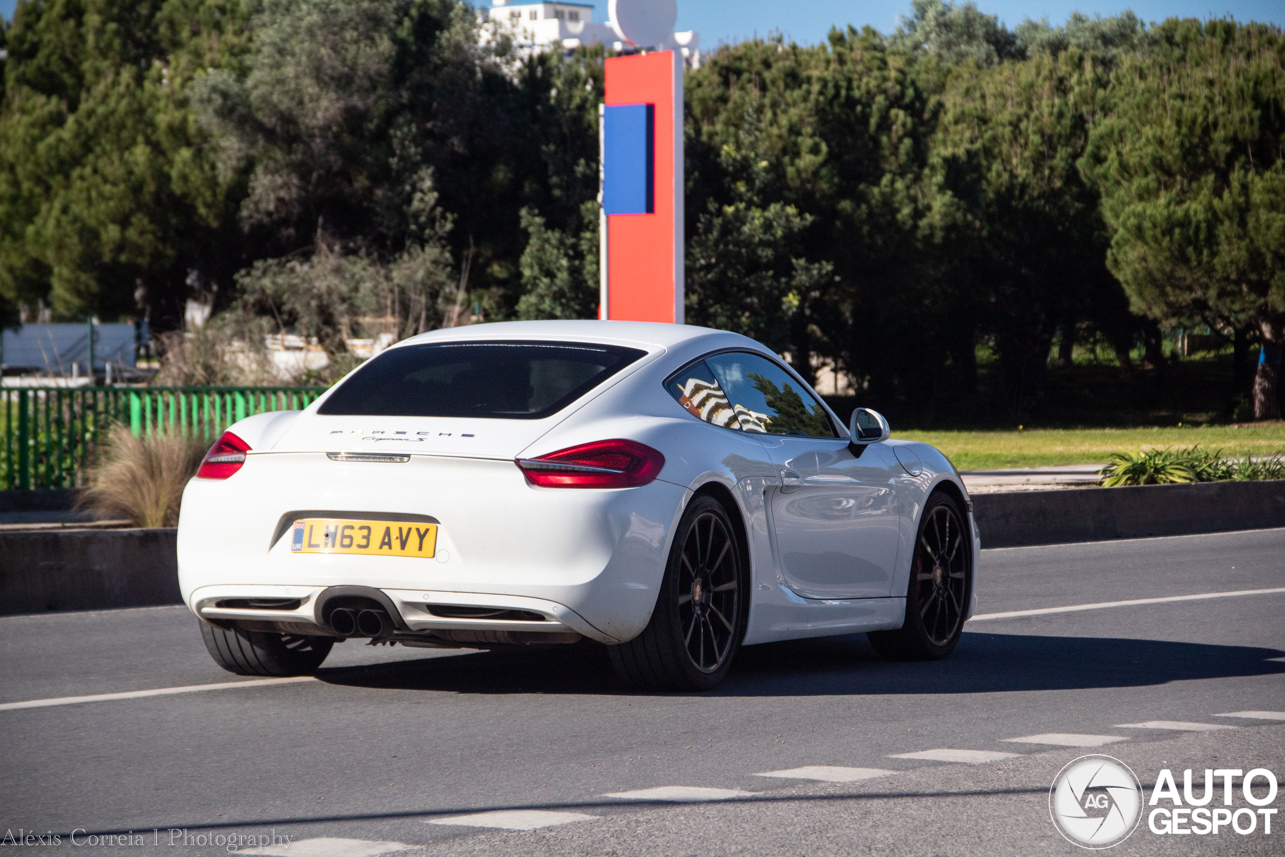 Porsche 981 Cayman S