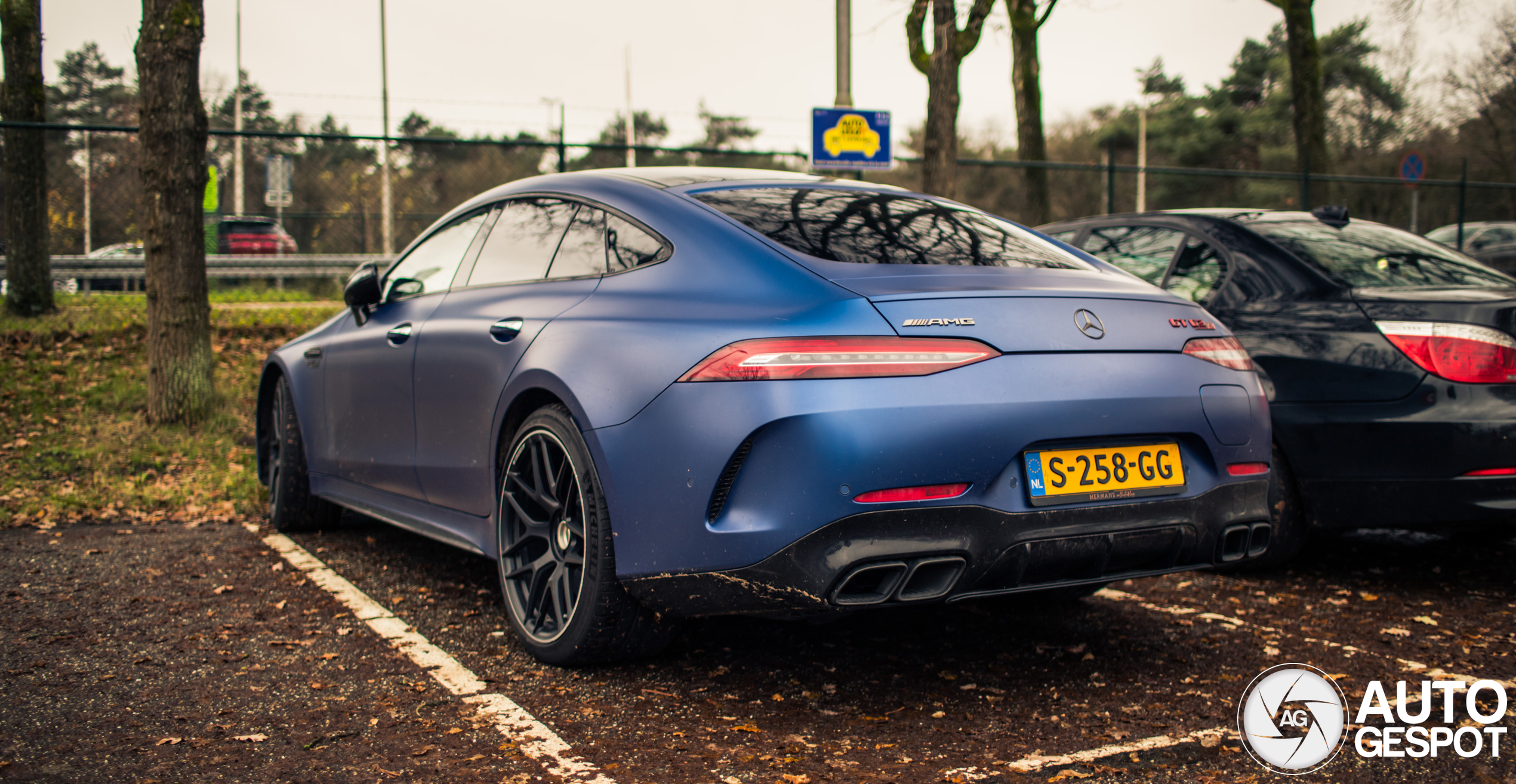 Mercedes-AMG GT 63 S E Performance X290