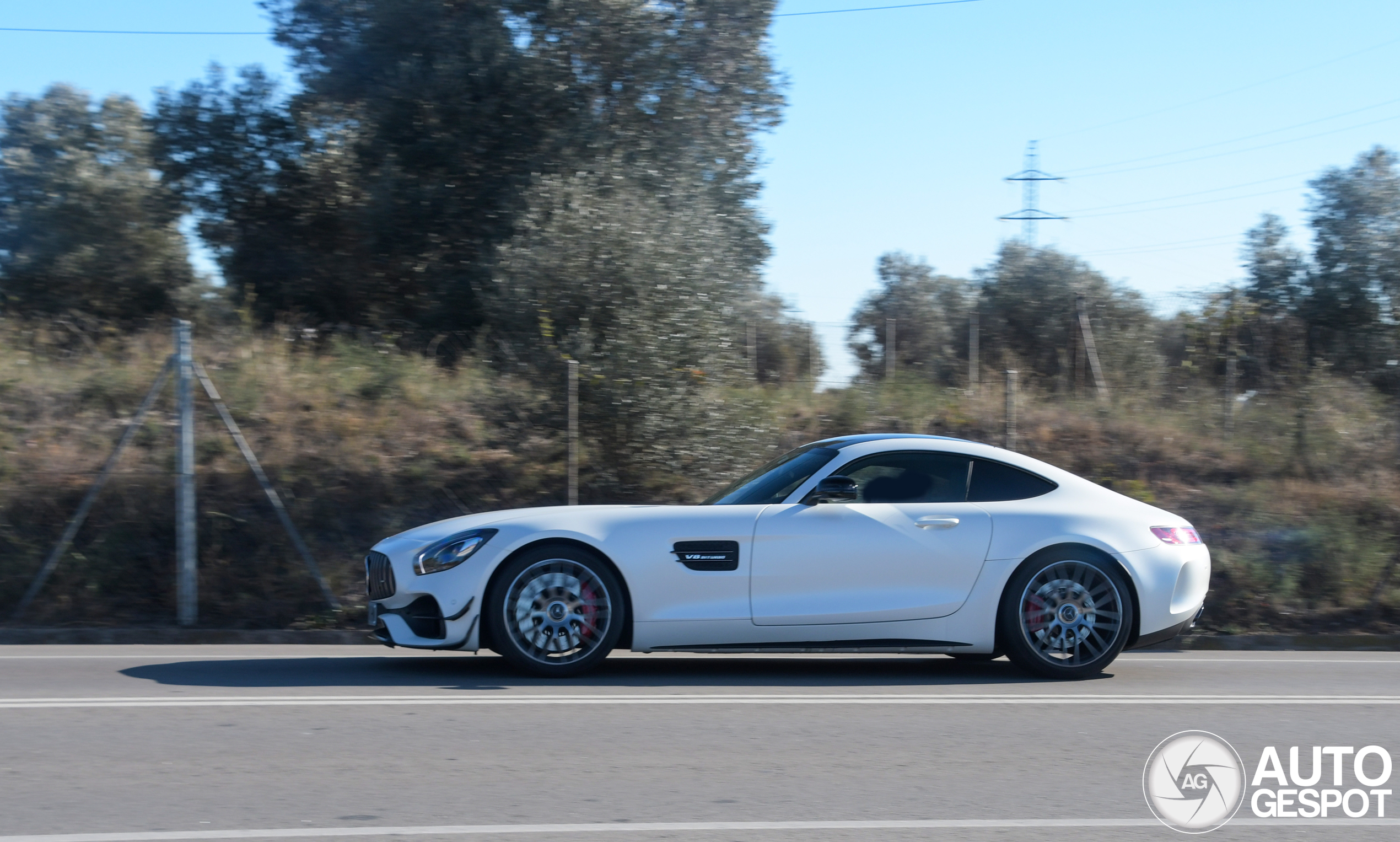 Mercedes-AMG GT C Edition 50 C190 2017