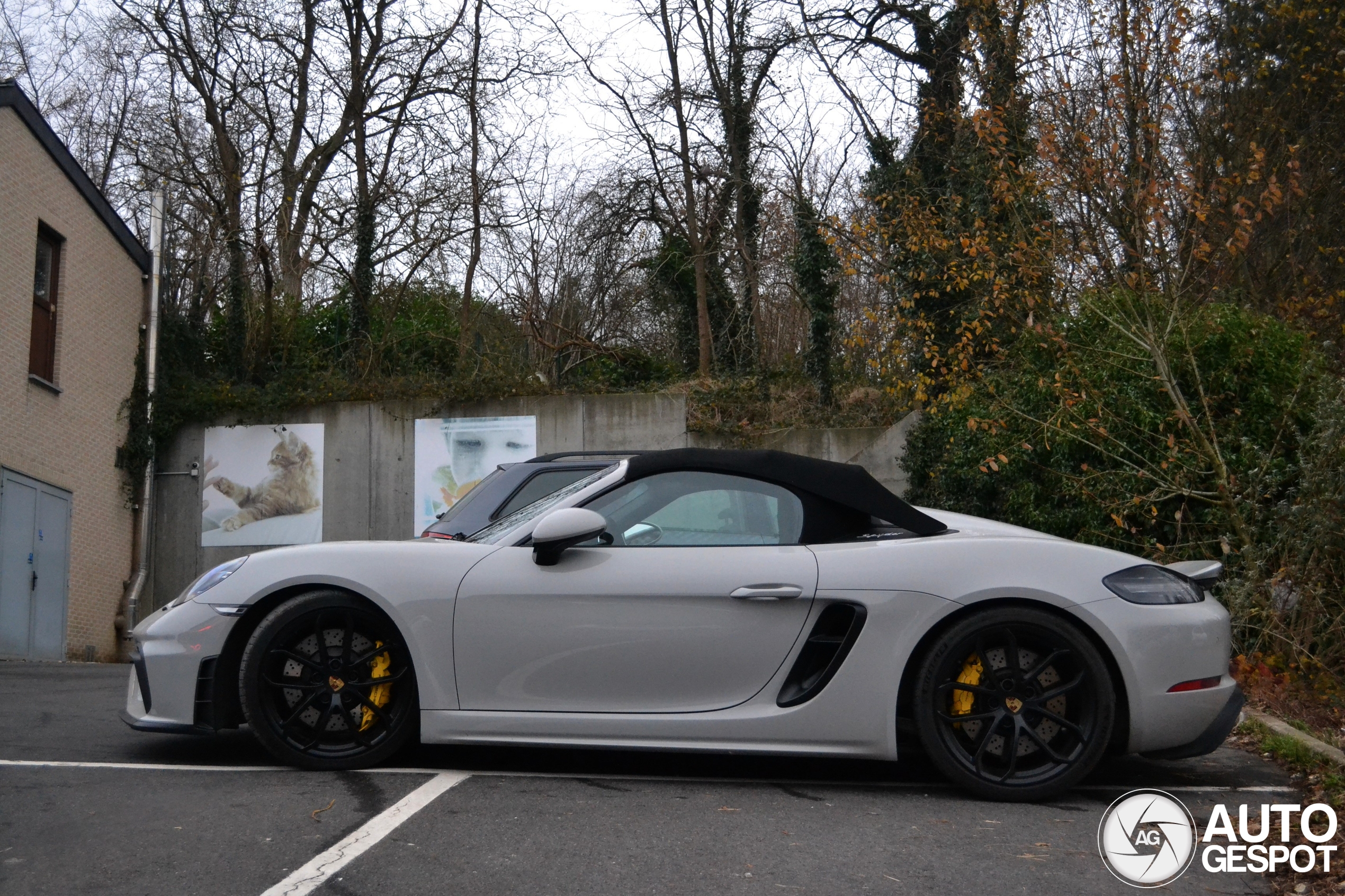 Porsche 718 Spyder