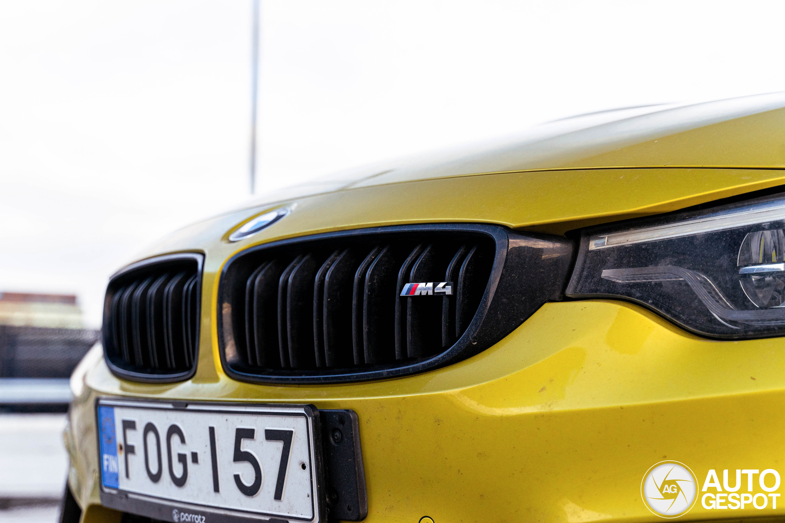 Frontgrill für BMW M4 Coupe F82
