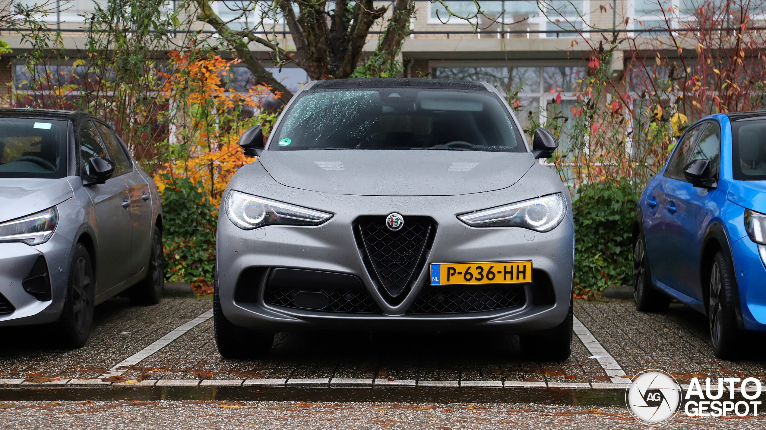 Alfa Romeo Stelvio Quadrifoglio NRING