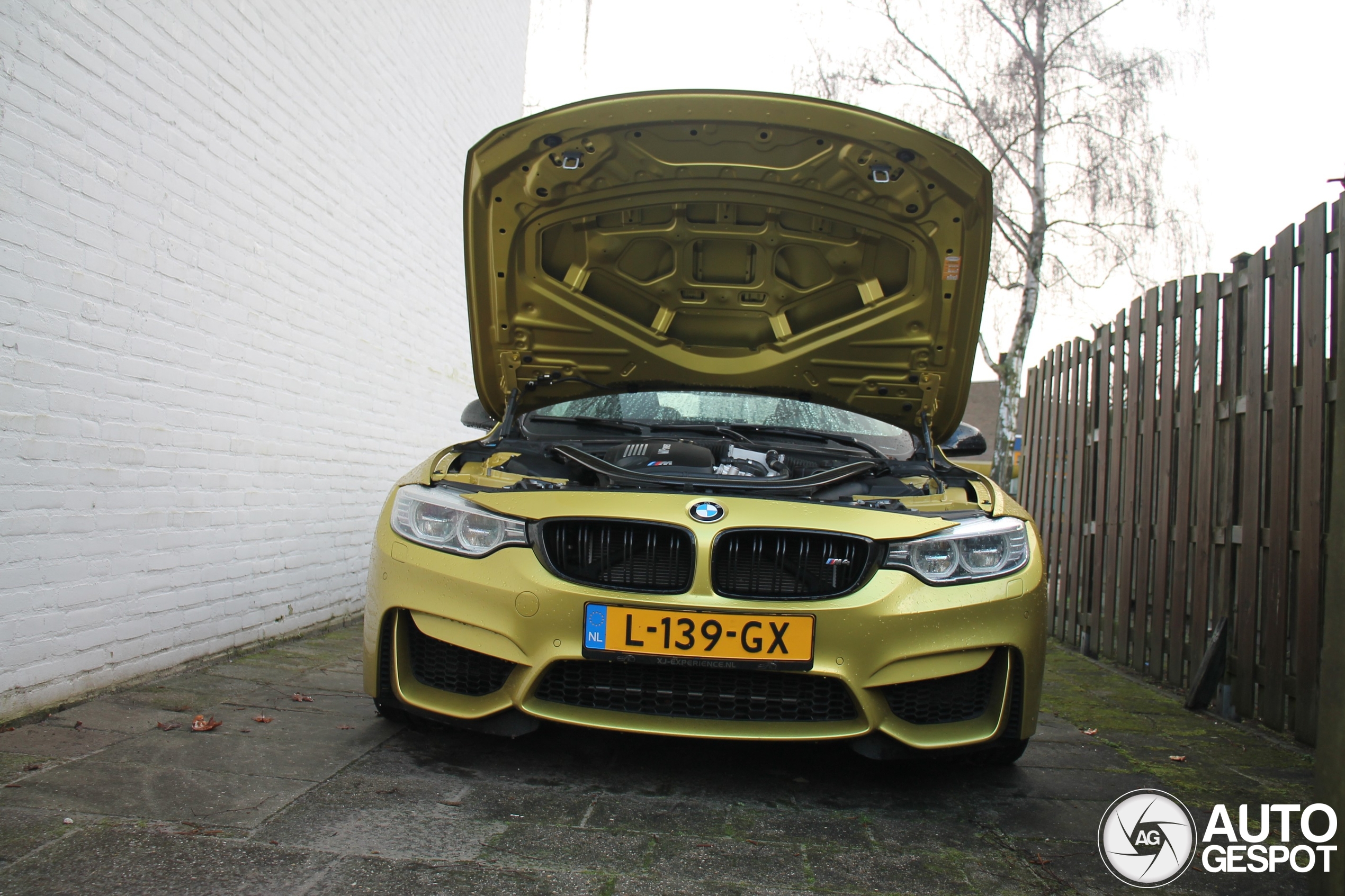 BMW M4 F82 Coupé