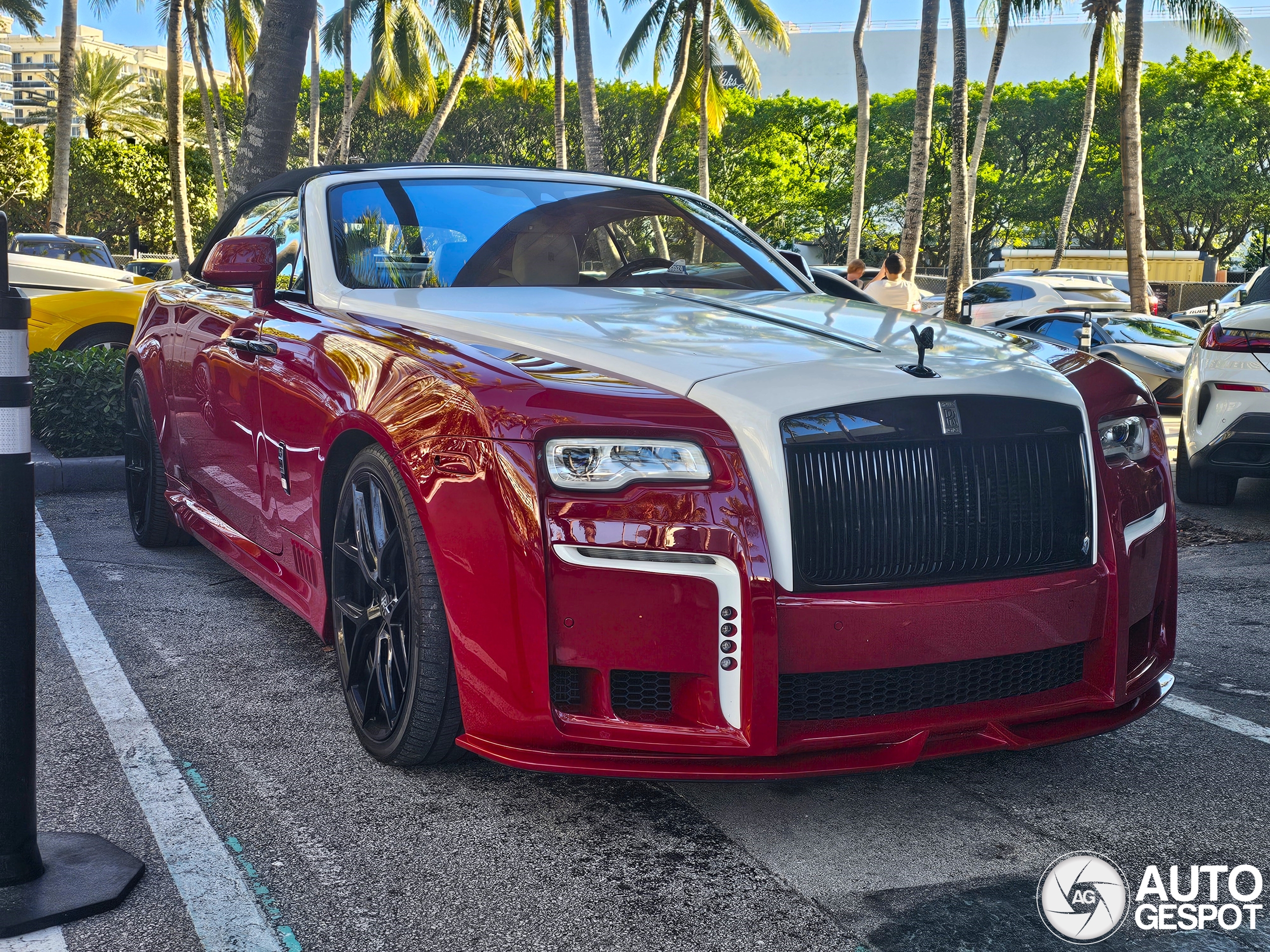 Rolls-Royce WALD Dawn Black Bison Edition