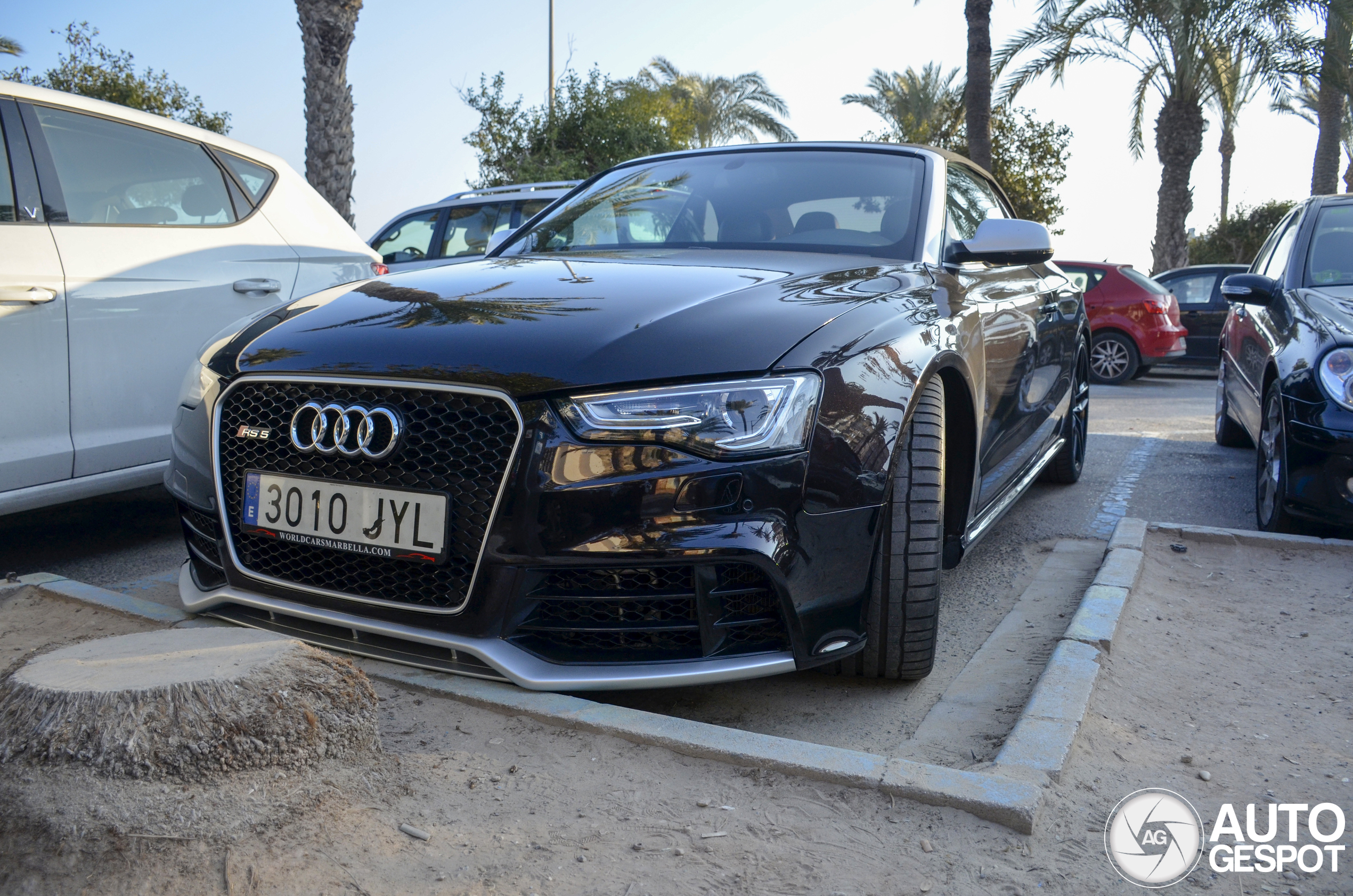 Audi RS5 Cabriolet B8