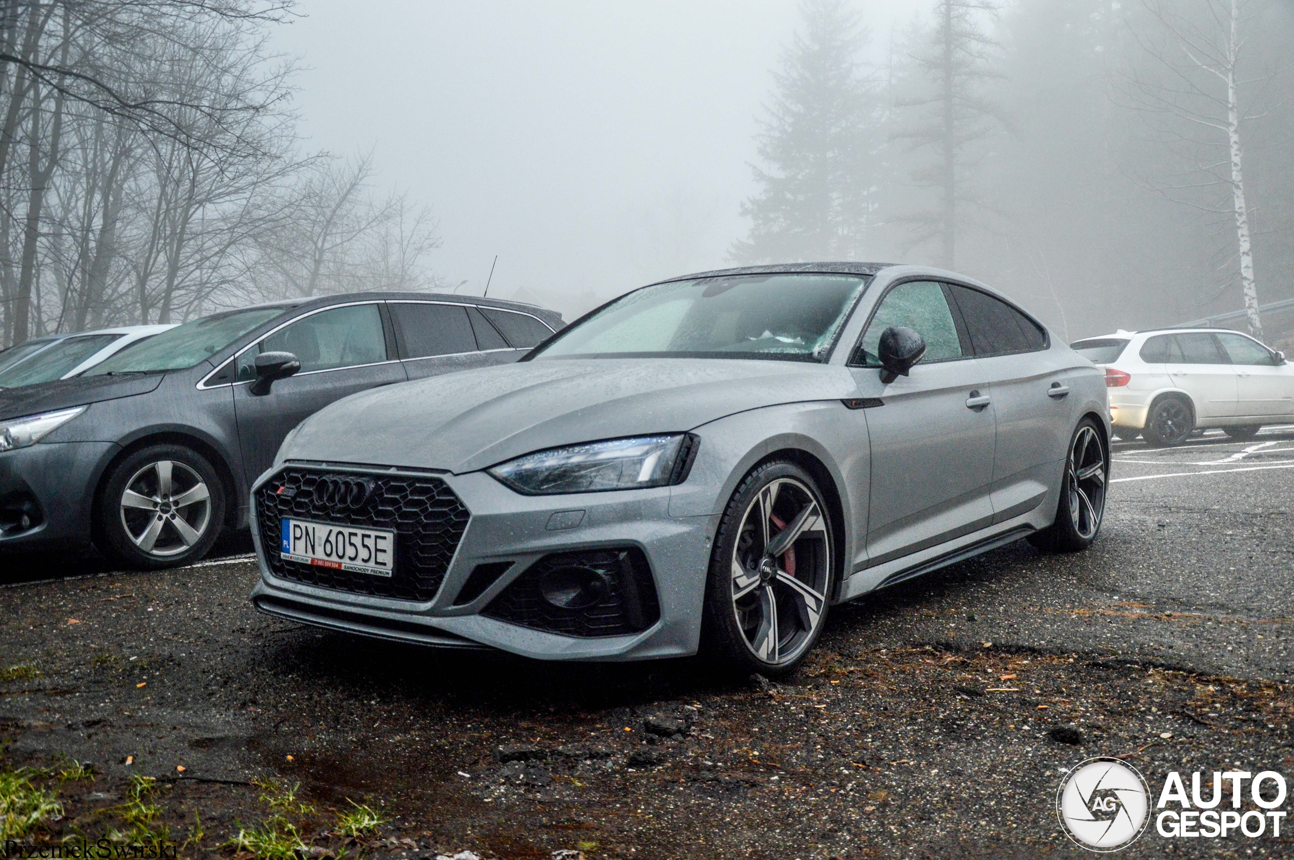 Audi RS5 Sportback B9 2021