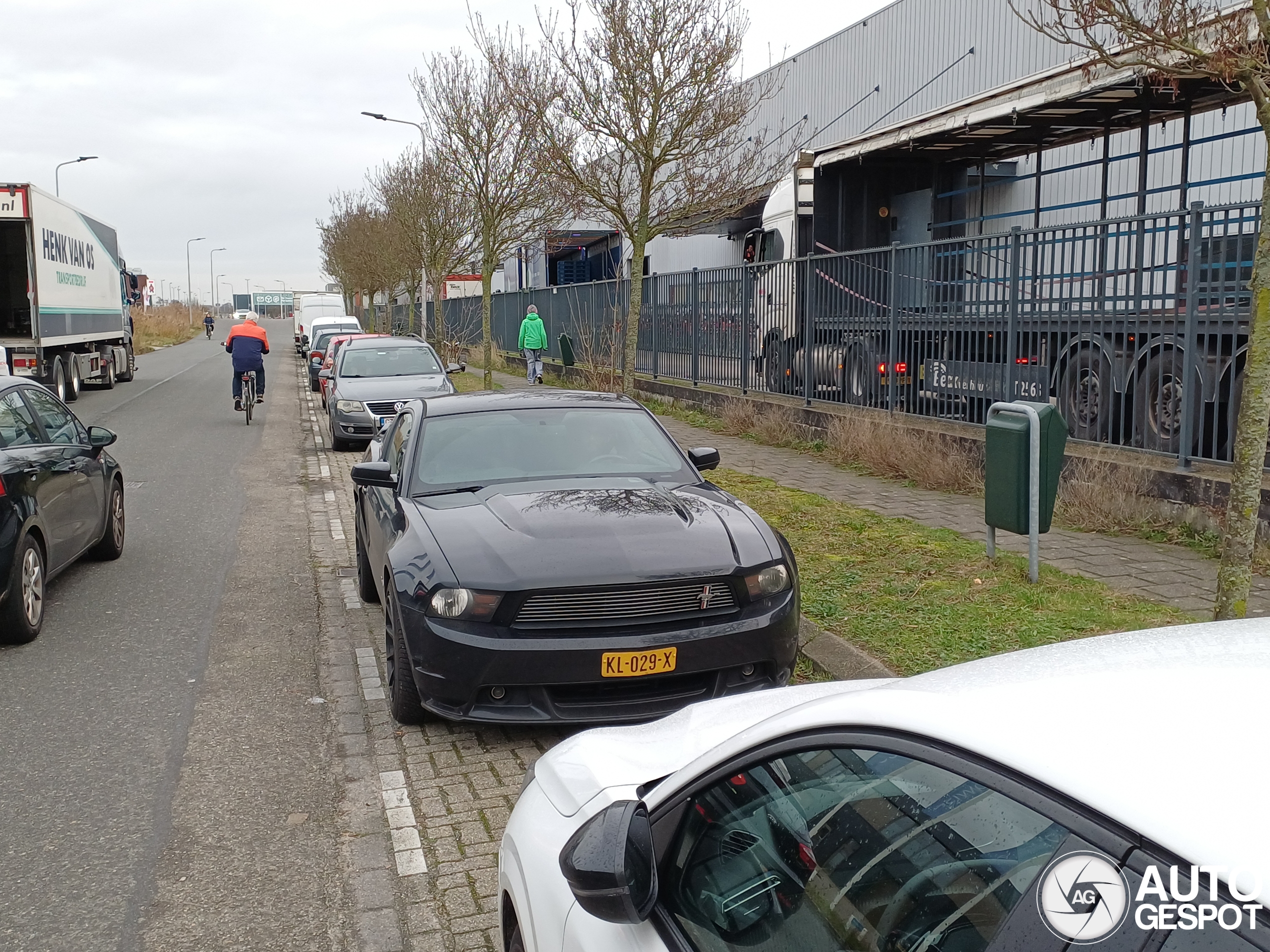 Ford Mustang GT California Special 2010