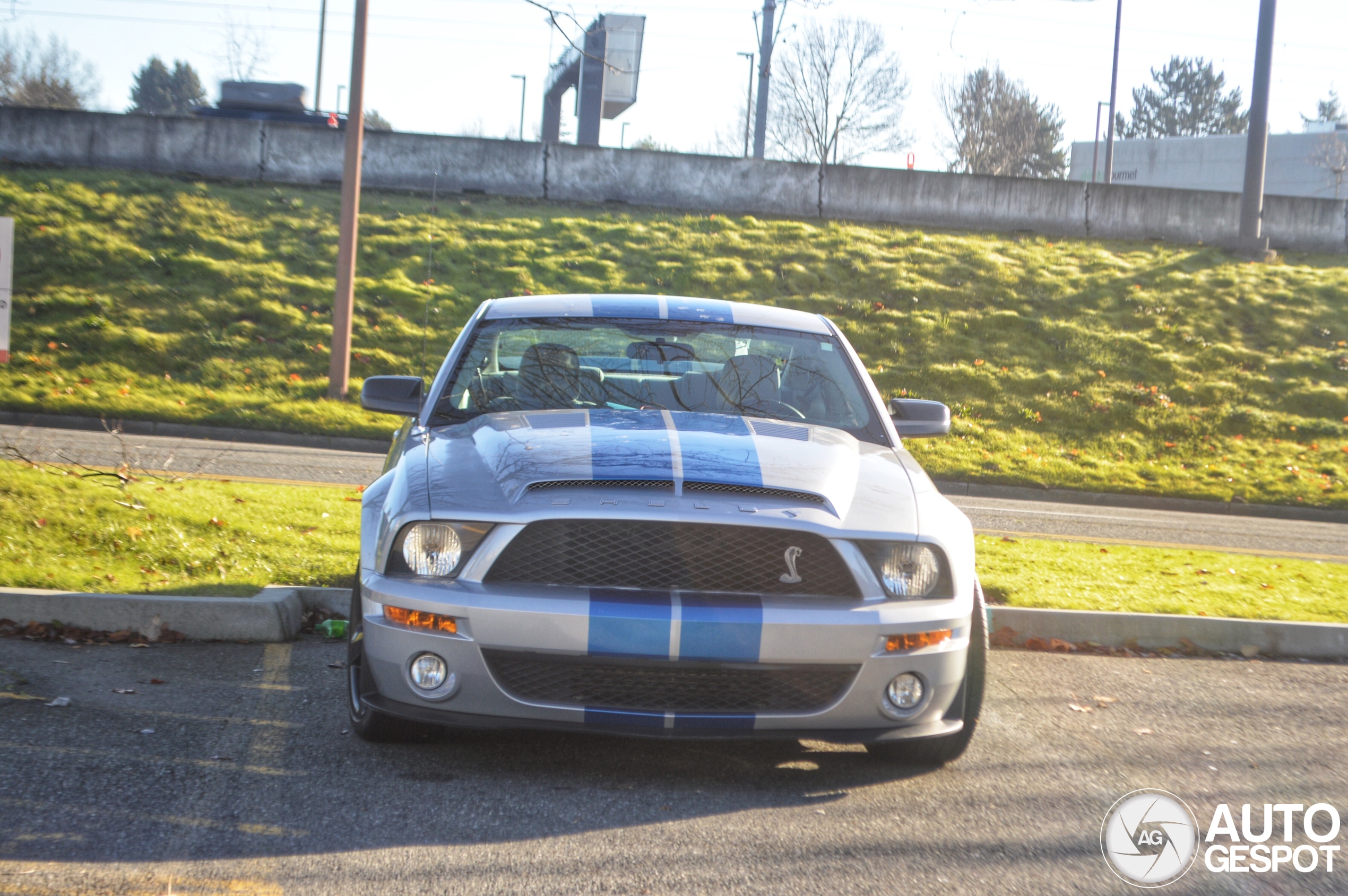 Ford Mustang Shelby GT