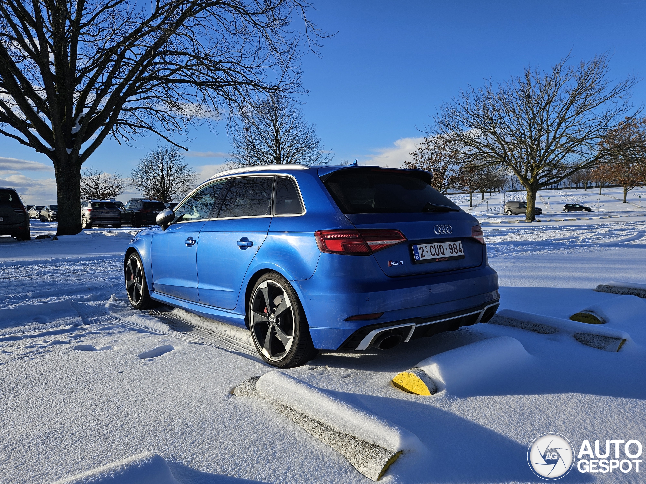 Audi RS3 Sportback 8V 2018