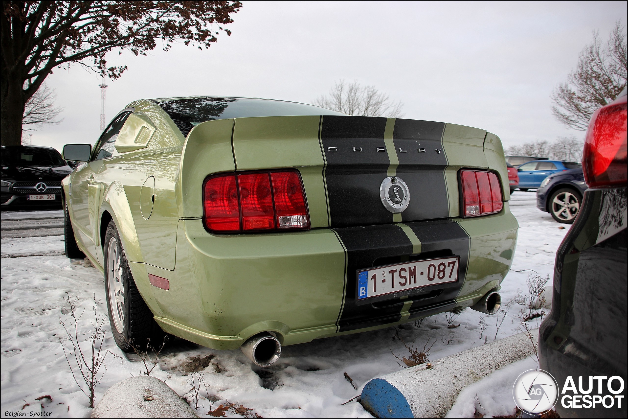 Ford Mustang Shelby GT