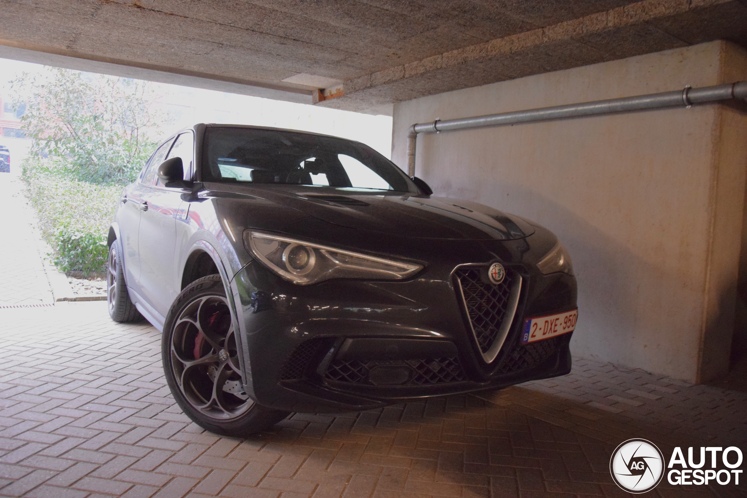 Alfa Romeo Stelvio Quadrifoglio