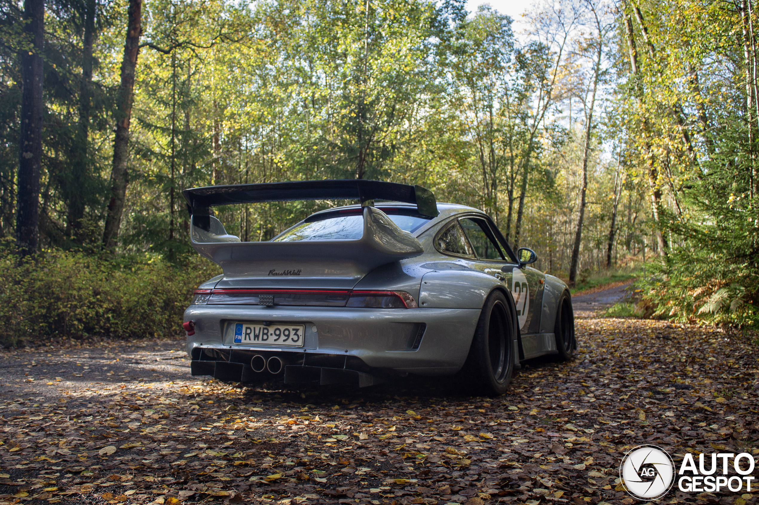 Porsche Rauh-Welt Begriff 993