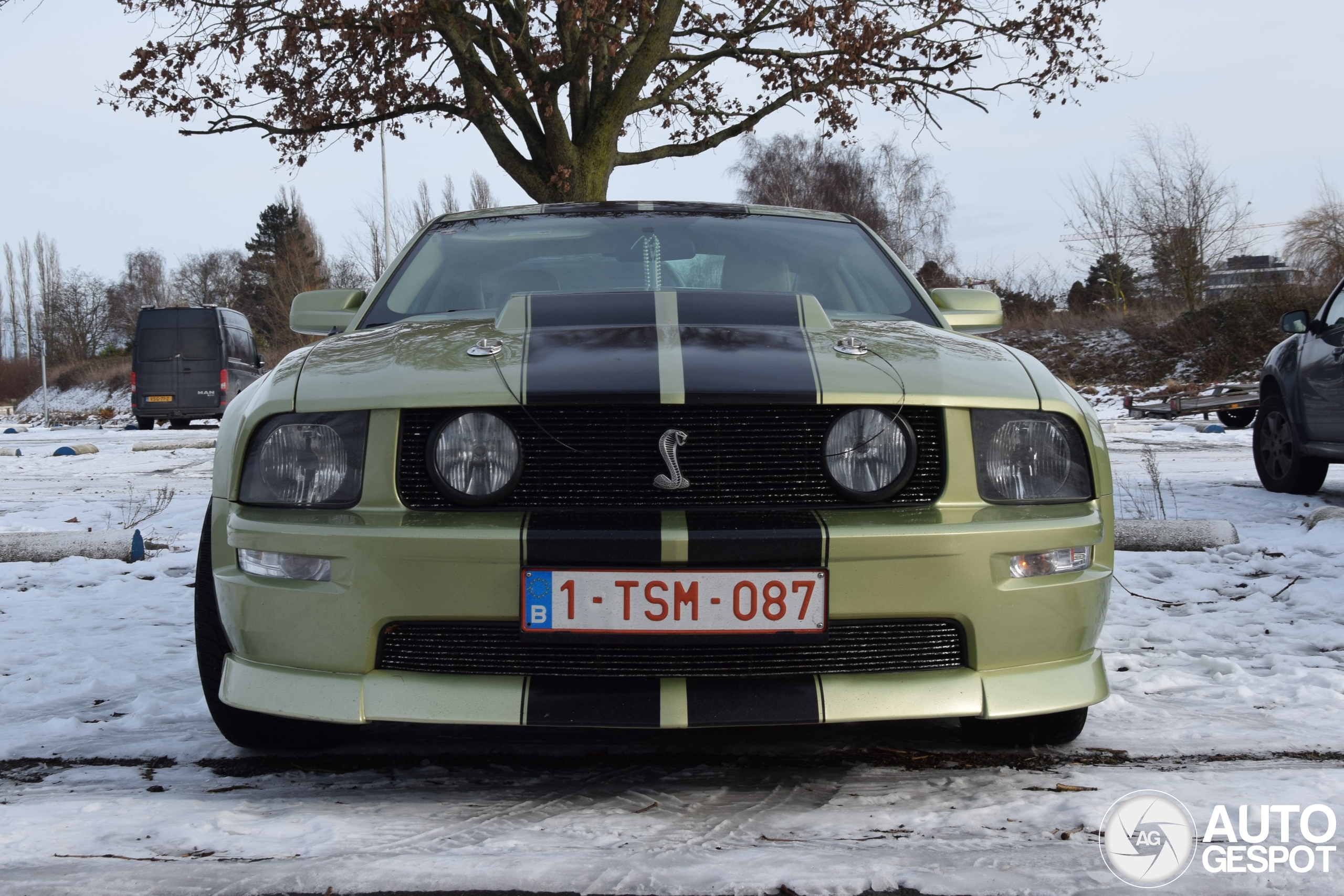 Ford Mustang Shelby GT