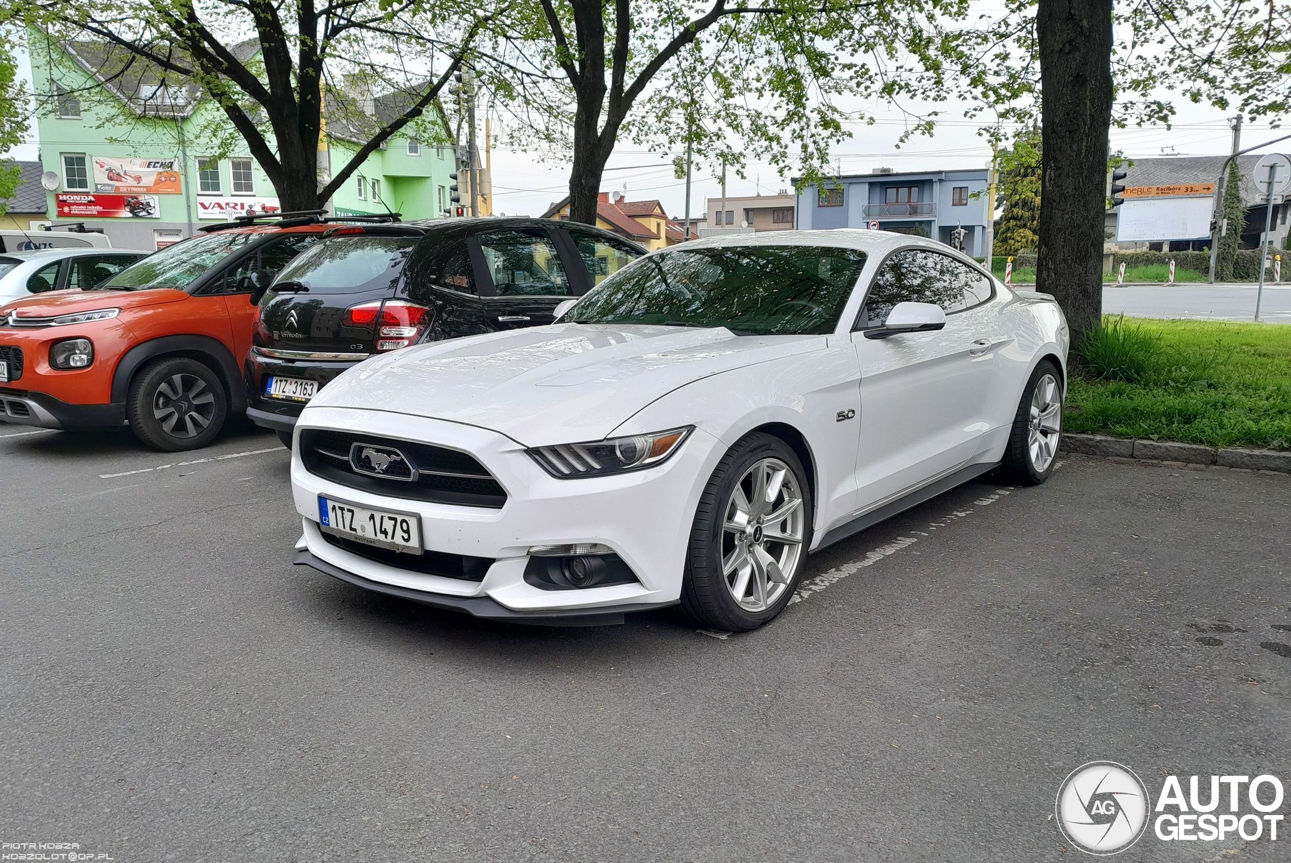 Ford Mustang GT 50th Anniversary Edition