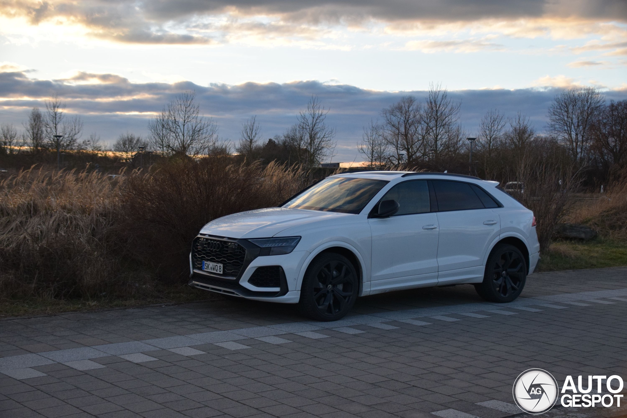 Audi RS Q8