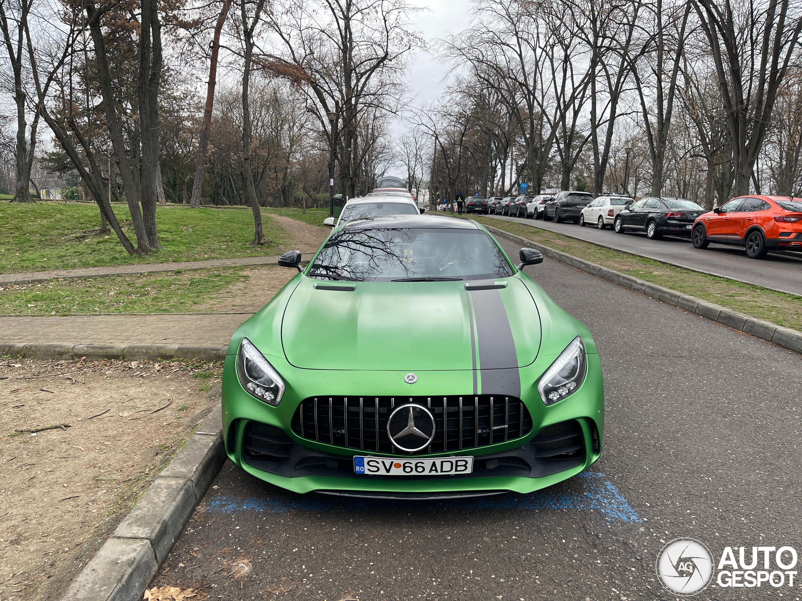 Mercedes-AMG GT C190 2017