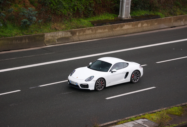 Porsche 981 Cayman GTS