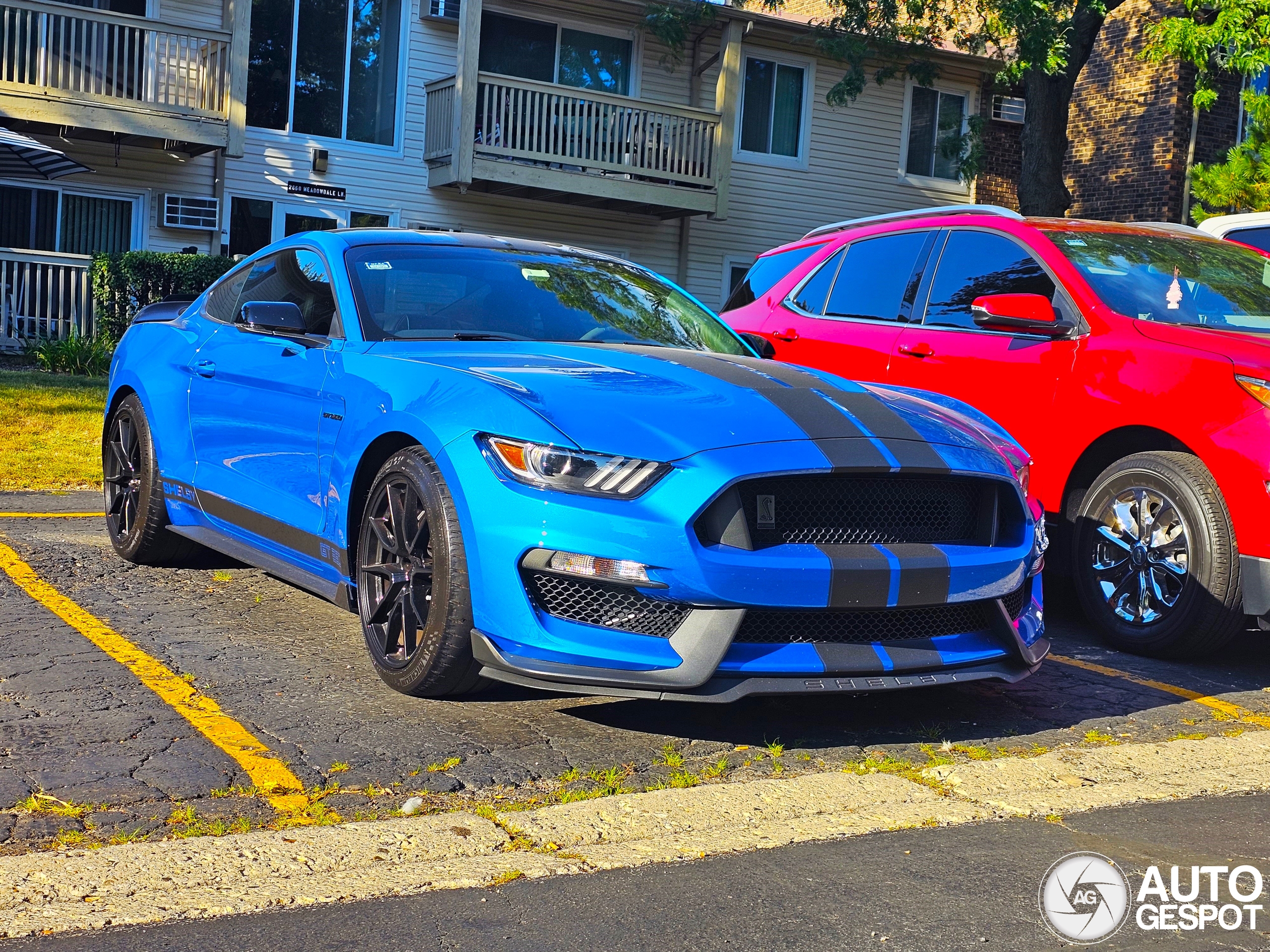 Ford Mustang Shelby GT350 2015