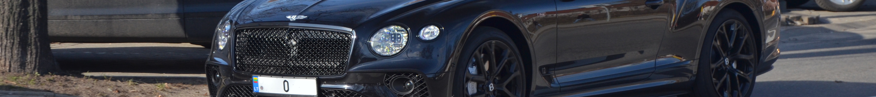 Bentley Continental GTC Speed 2021 Edition 12