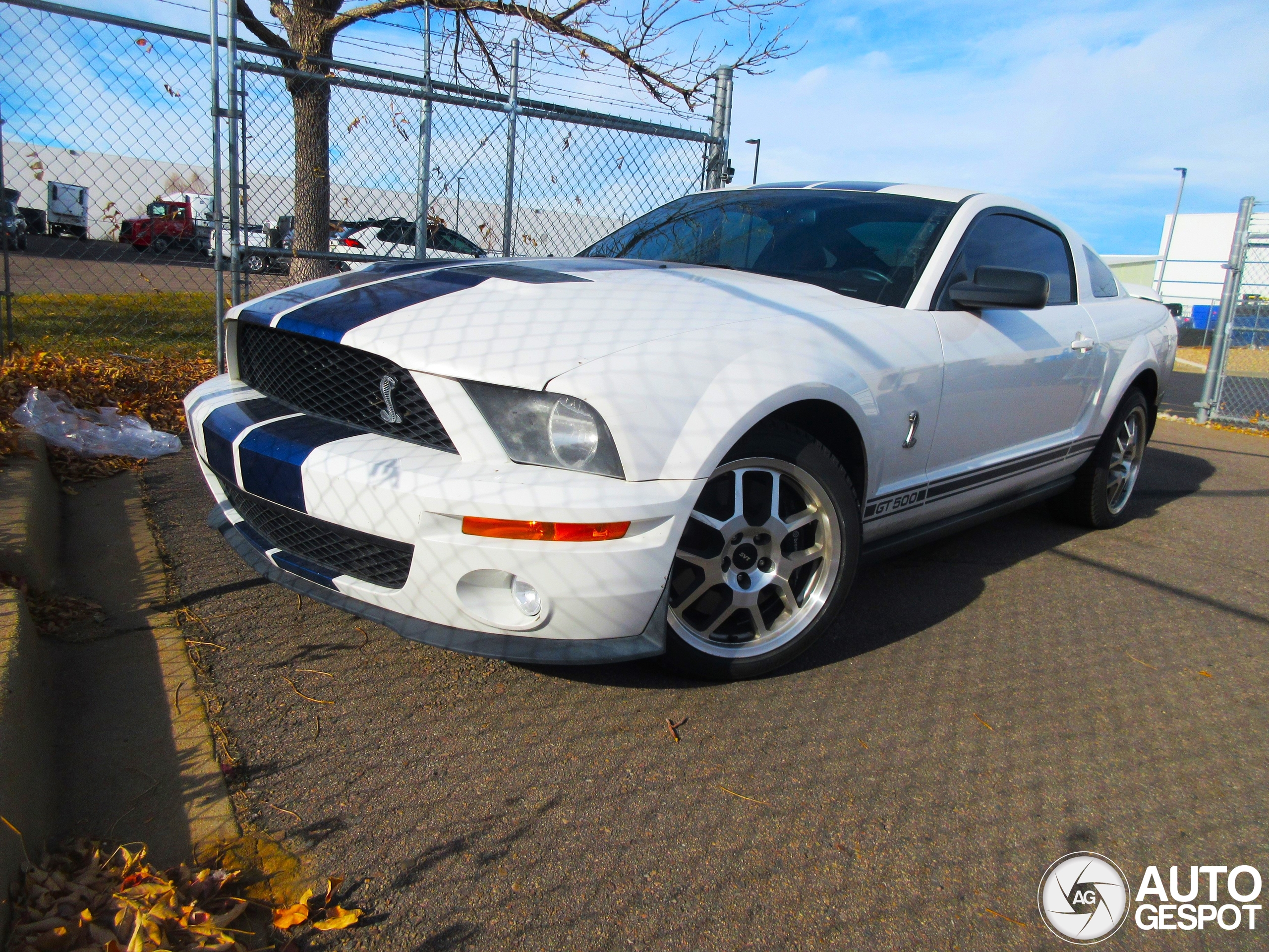 Ford Mustang Shelby GT500