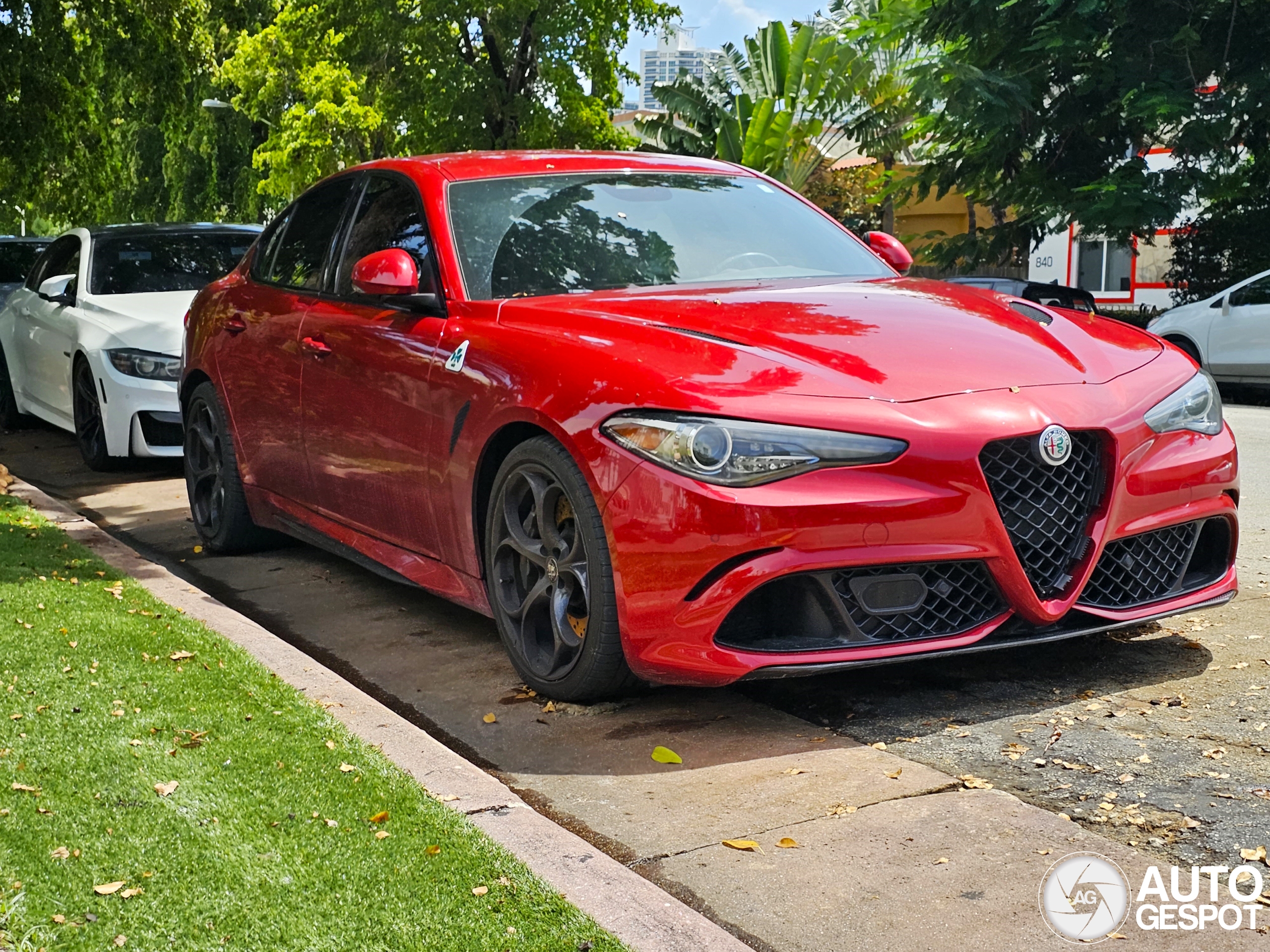 Alfa Romeo Giulia Quadrifoglio