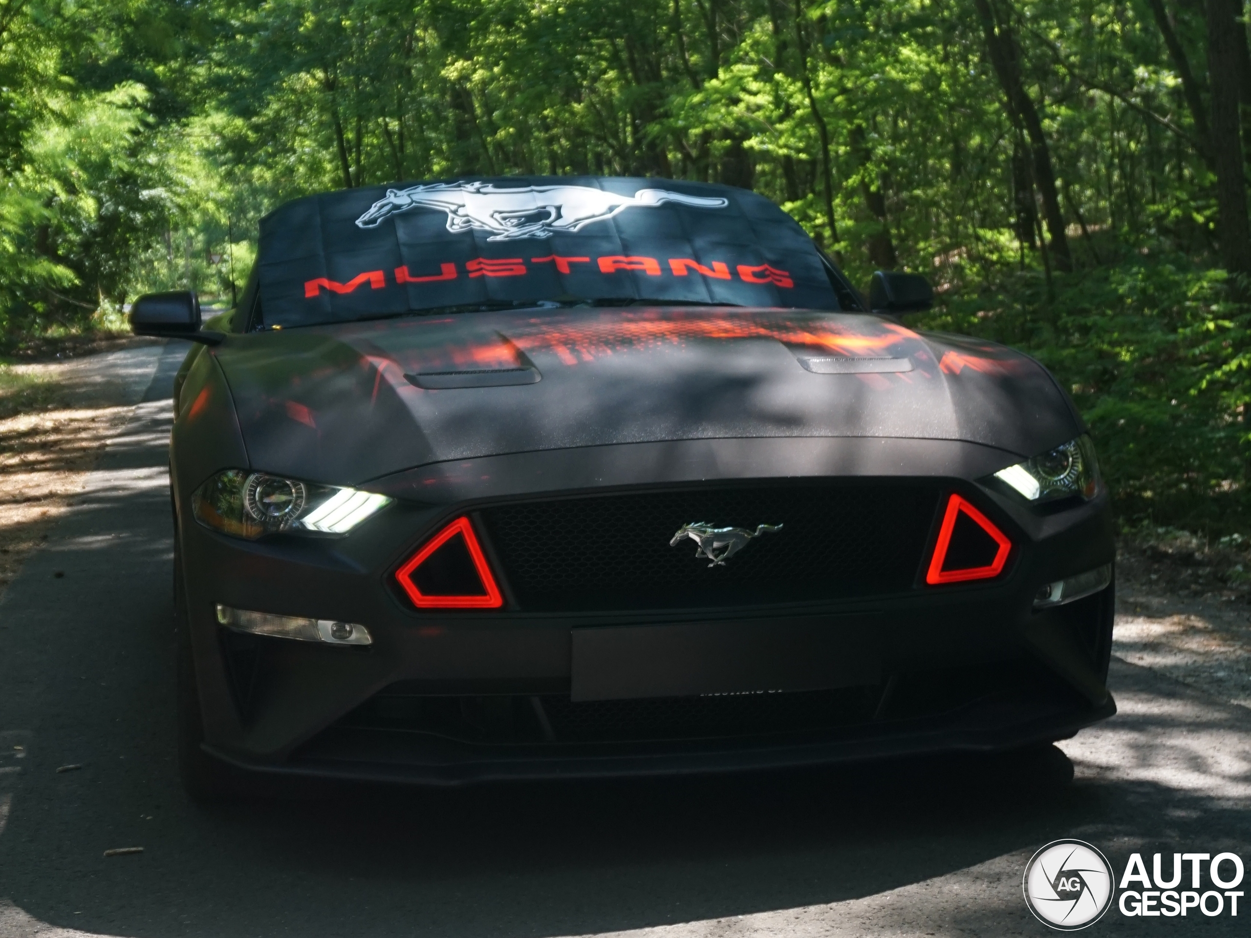 Ford Mustang GT Convertible 2018