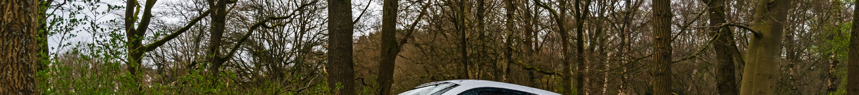 Ferrari 599 GTB Fiorano