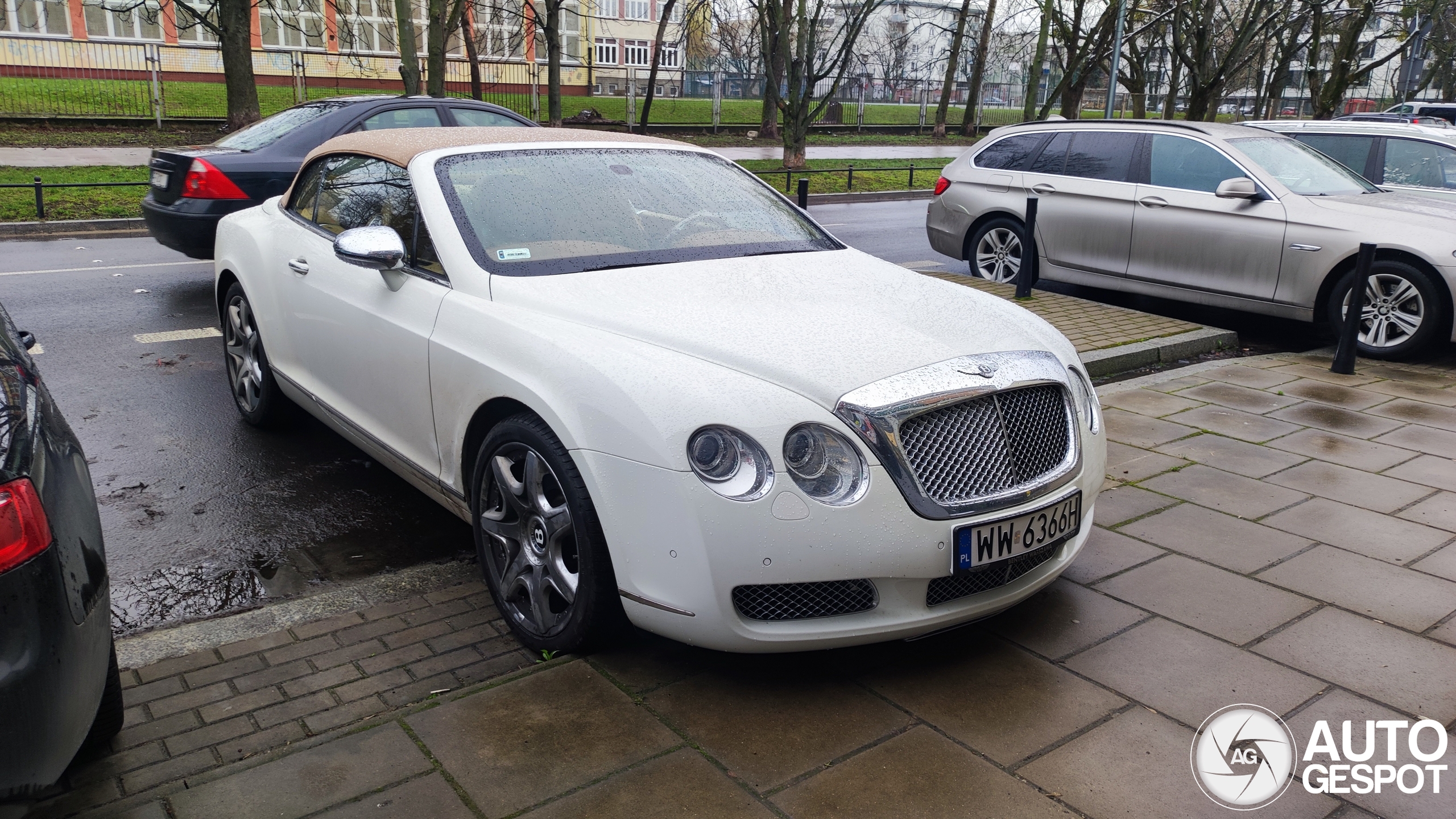 Bentley Continental GTC