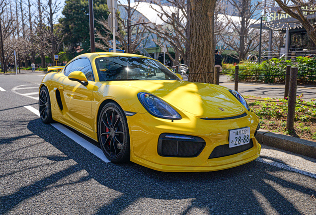 Porsche 981 Cayman GT4