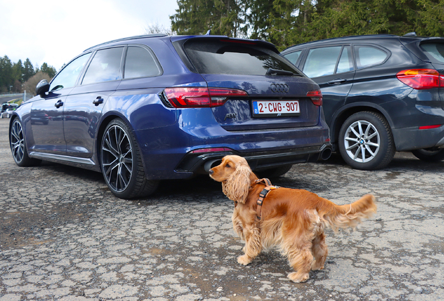 Audi RS4 Avant B9