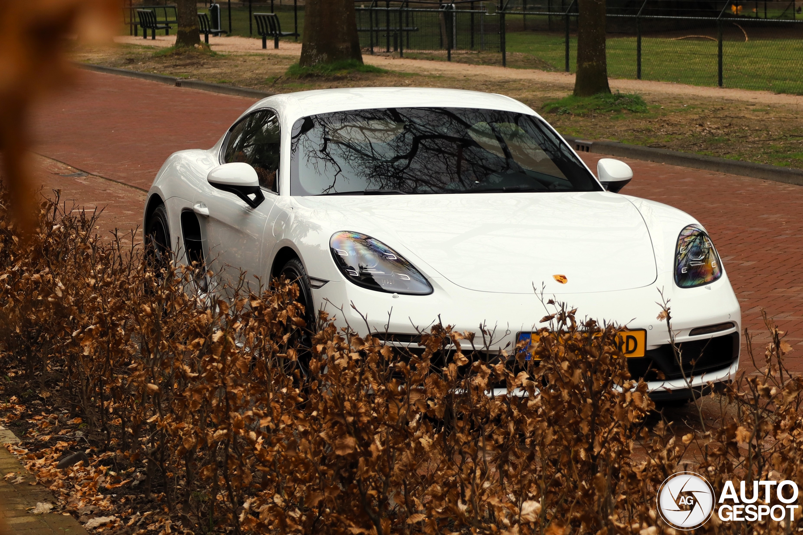 Porsche 718 Cayman GTS 4.0