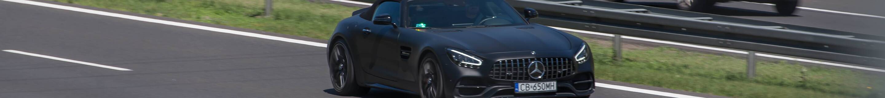 Mercedes-AMG GT C Roadster R190 2019