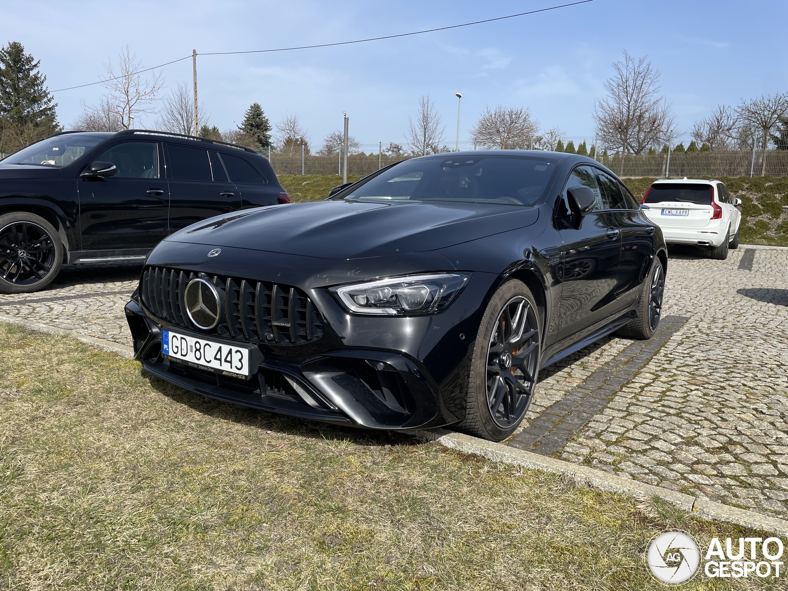 Mercedes-AMG GT 63 S E Performance X290