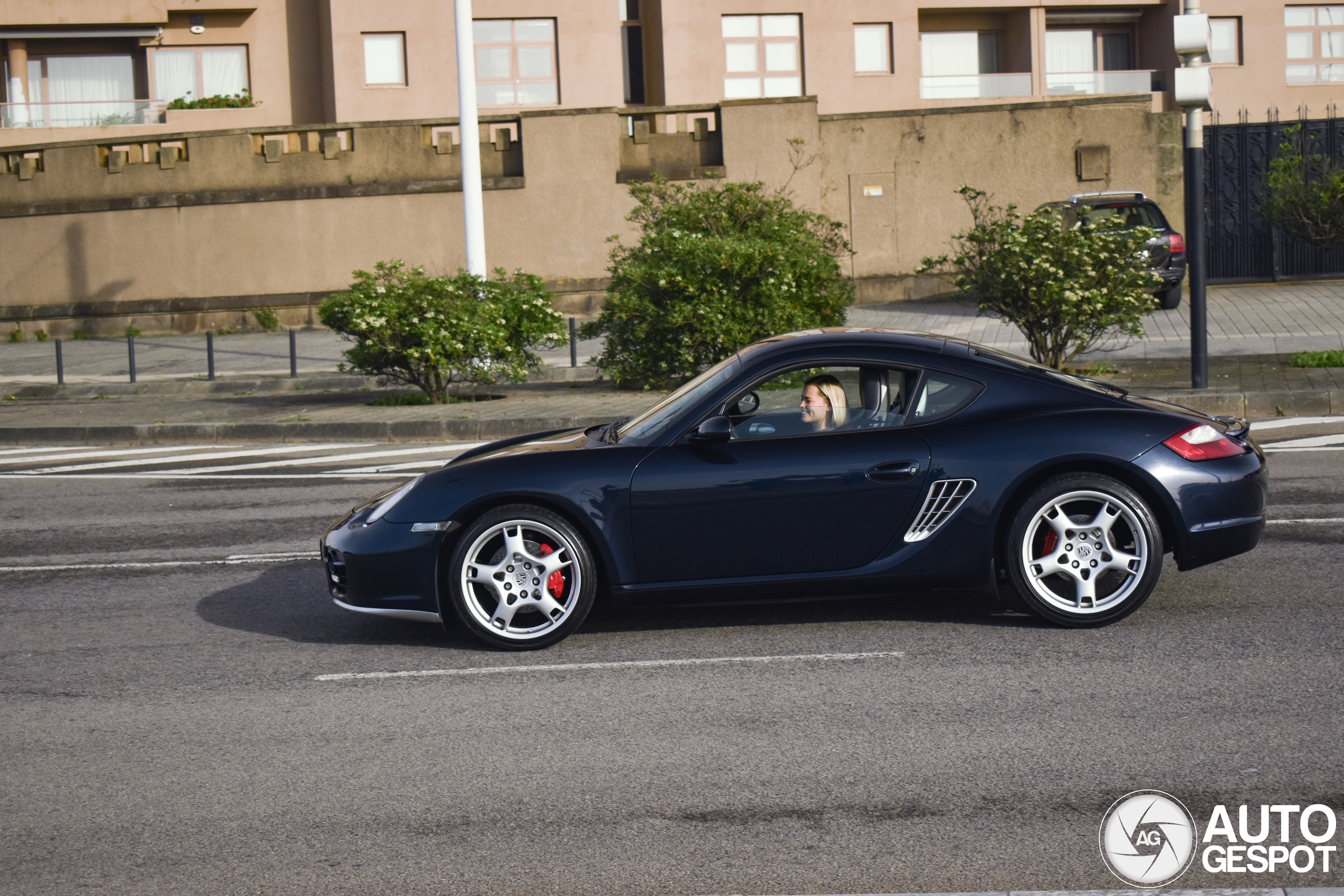 Porsche 987 Cayman S