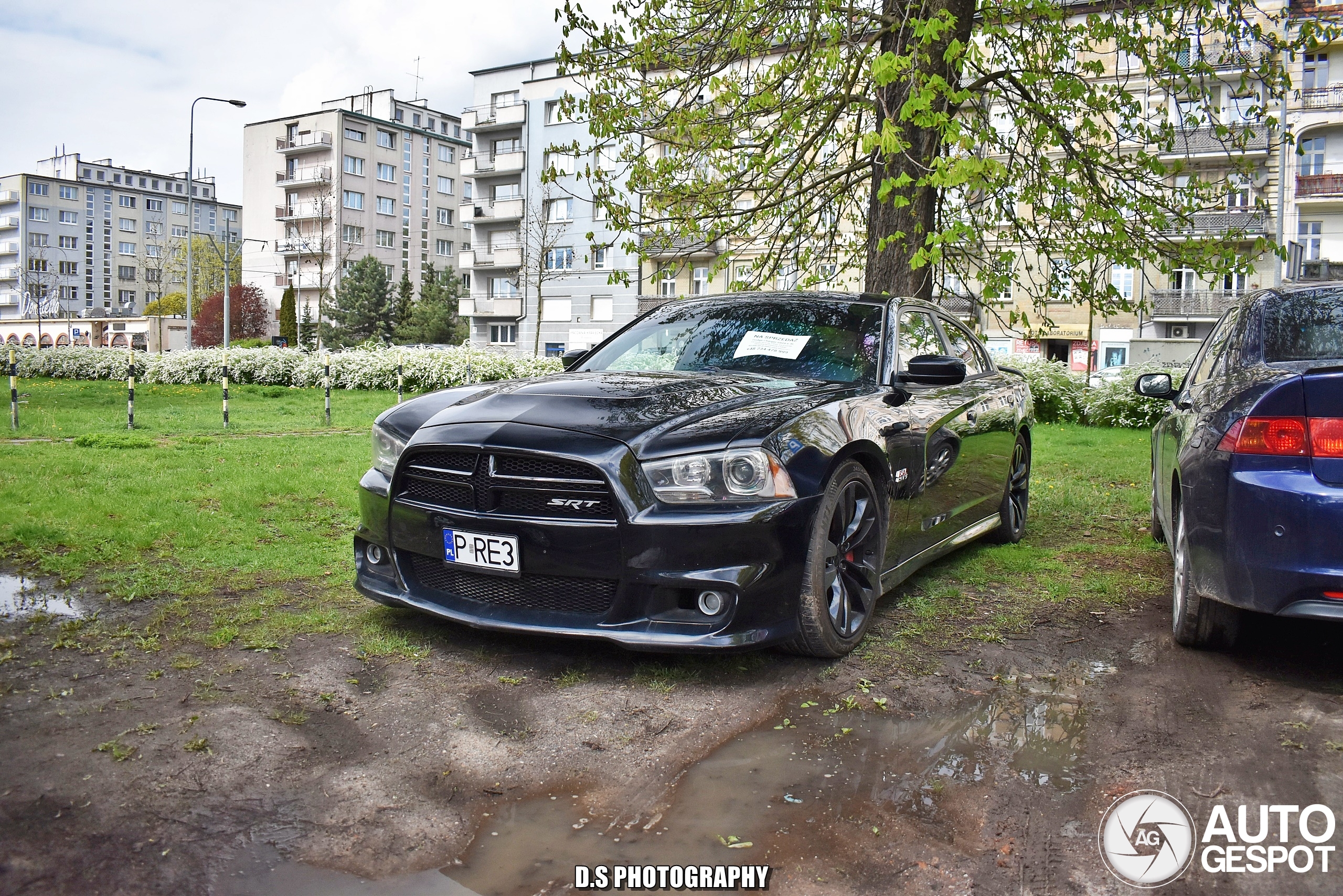 Dodge Charger SRT-8 2012