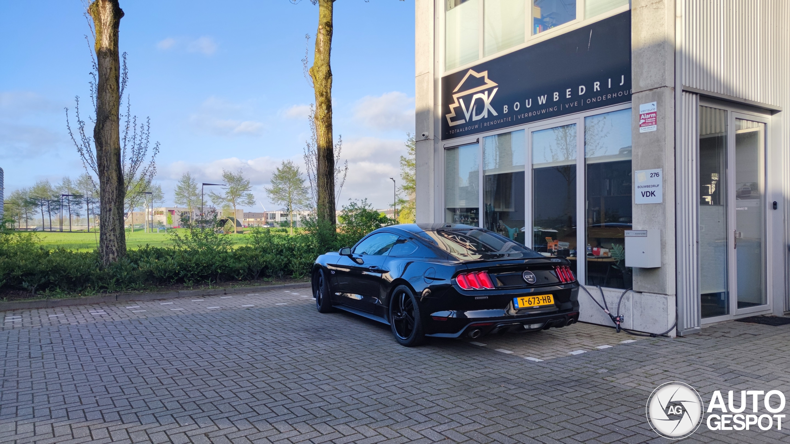 Ford Mustang GT 50th Anniversary Edition